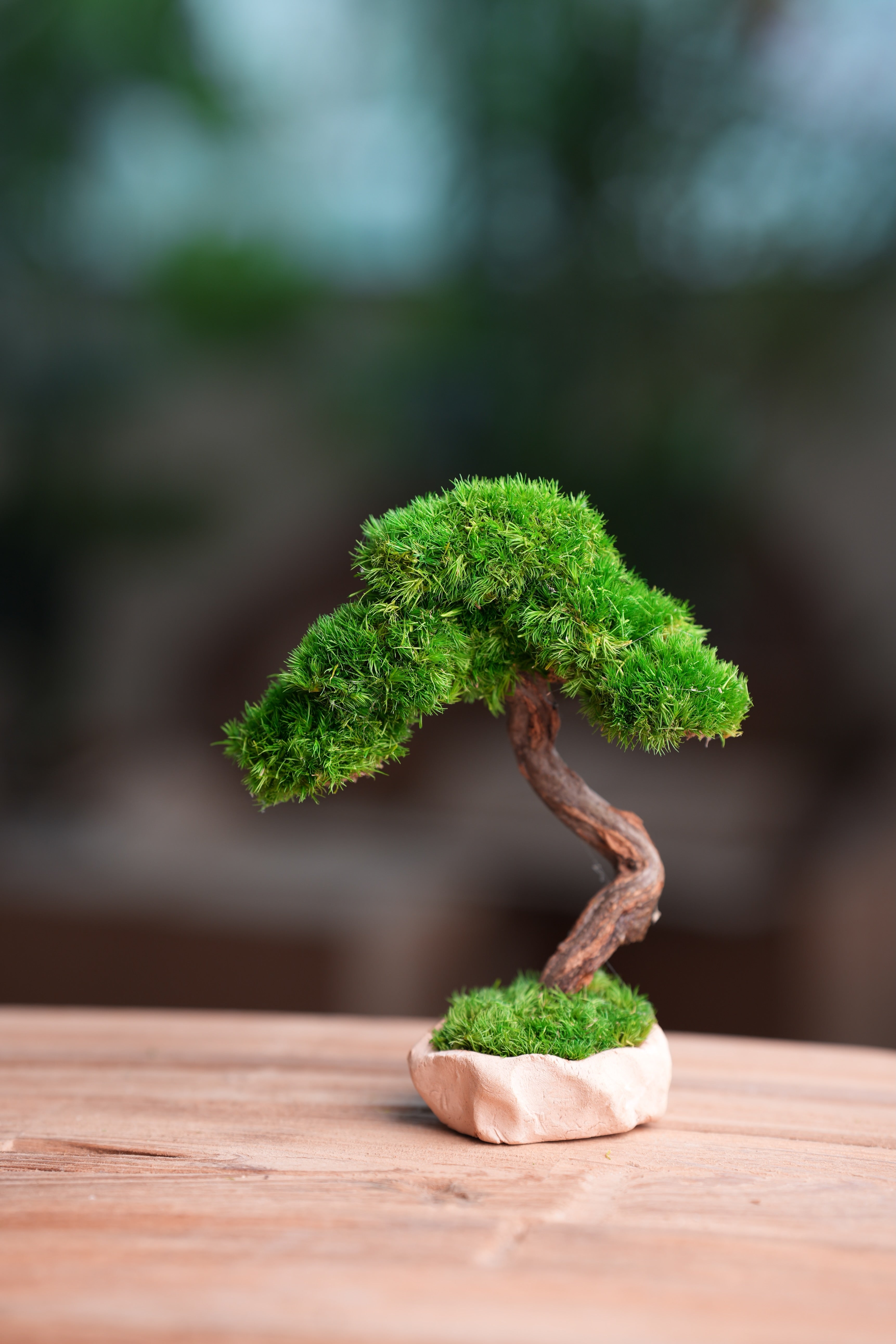 Light in the Garden - Rosewood (Preserved Plants)