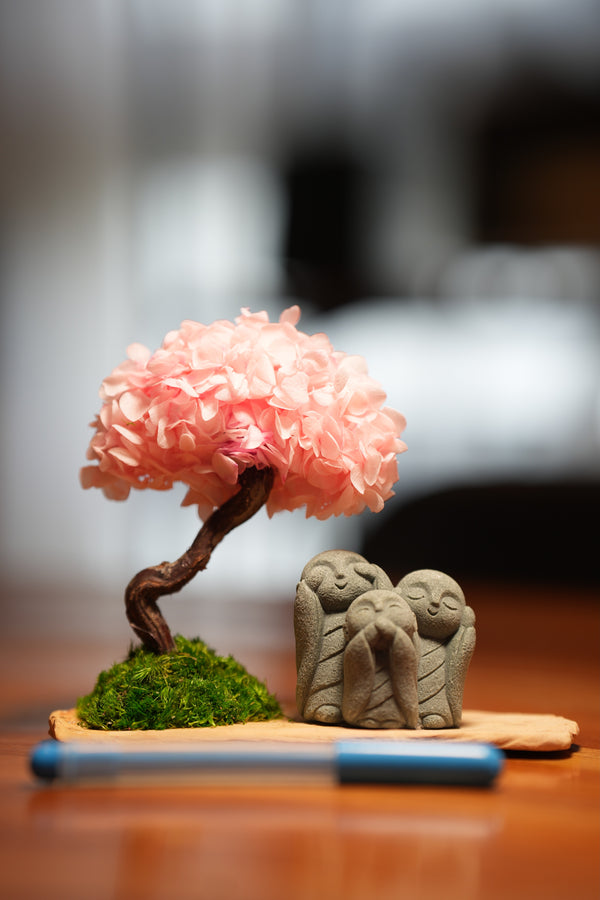 A Small Tree in the East - Sakura - Trio of No Evil (Preserved Plants)