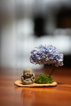 A Small Tree in the East - Blue Dream - Journeyman (Preserved Plants)