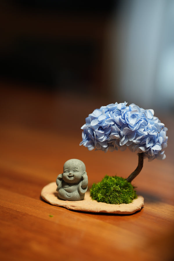 A Small Tree in the East - Blue Dream - Journeyman (Preserved Plants)