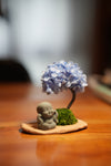 A Small Tree in the East - Blue Dream - Journeyman (Preserved Plants)