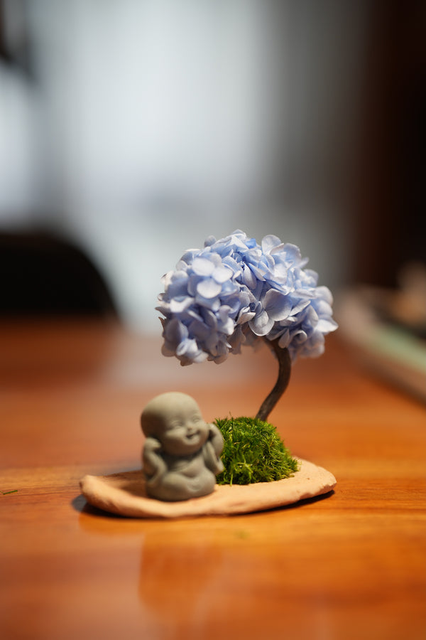 A Small Tree in the East - Blue Dream - Journeyman (Preserved Plants)