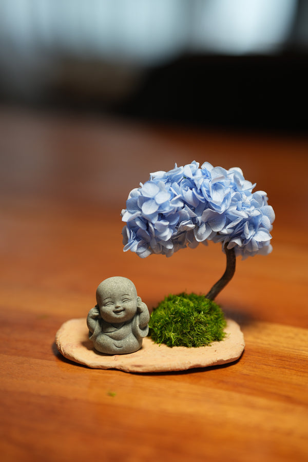 A Small Tree in the East - Blue Dream - Journeyman (Preserved Plants)