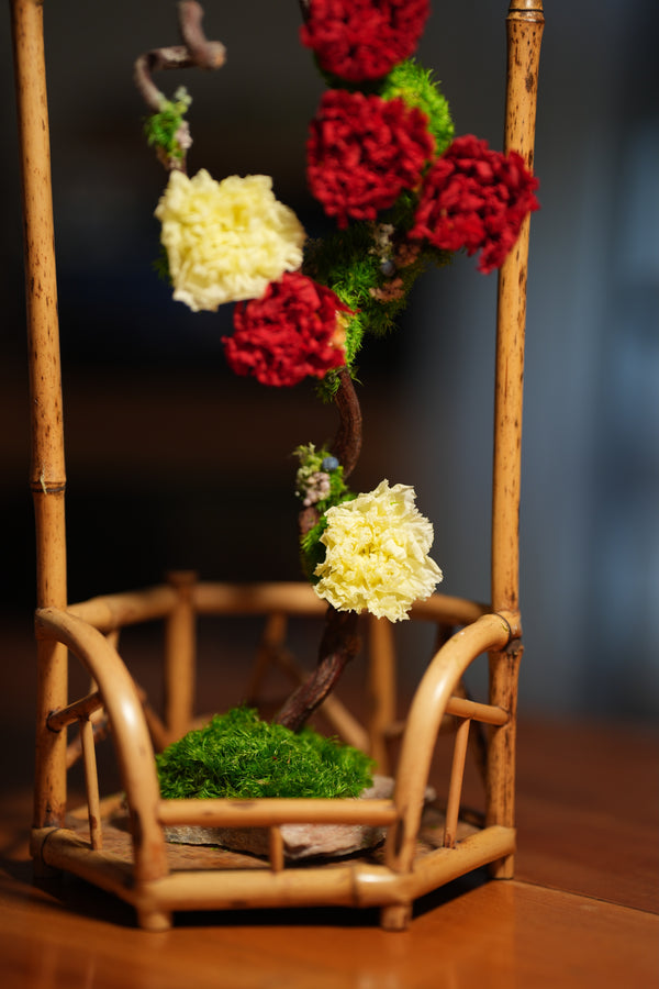 Children of the Forest - New Year (Preserved Plants)