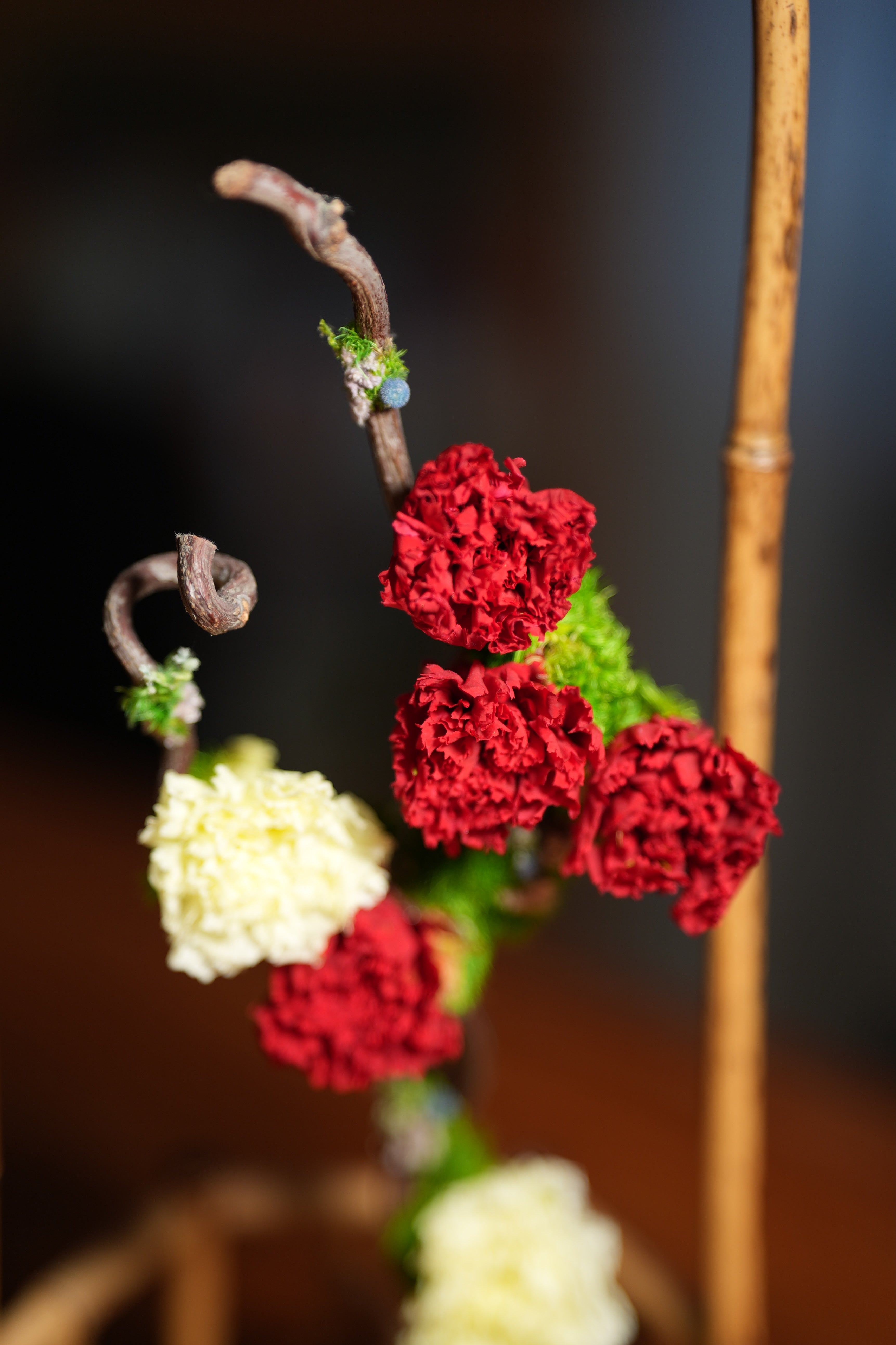 Children of the Forest - New Year (Preserved Plants)