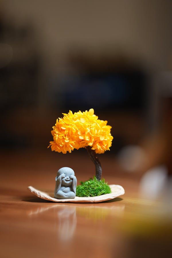 A Small Tree in the East - Orange Grove - Journeyman (Preserved Plants)