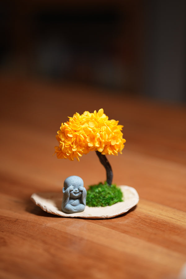 A Small Tree in the East - Orange Grove - Journeyman (Preserved Plants)