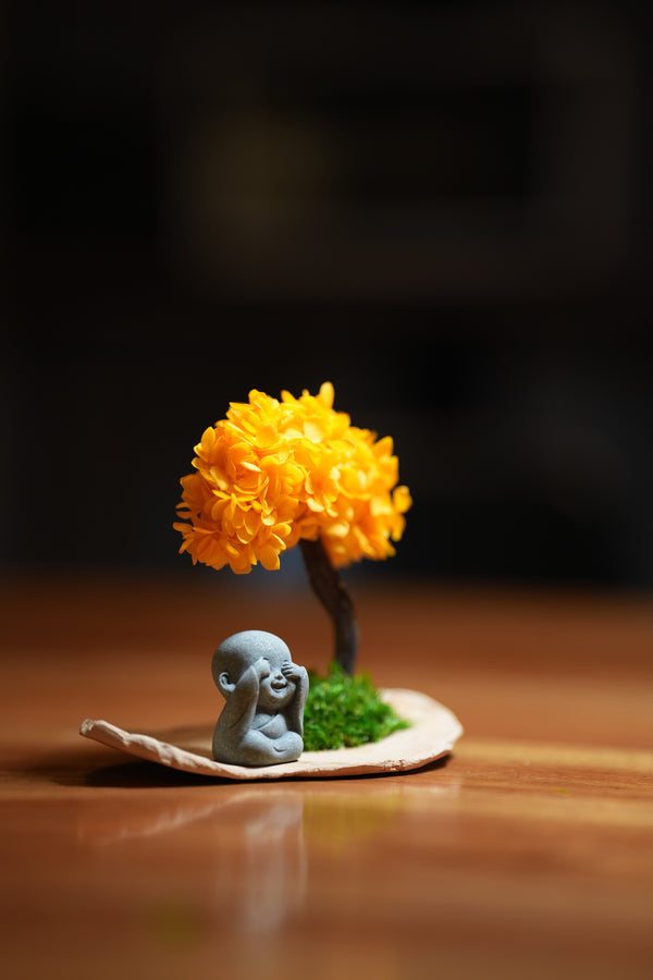 A Small Tree in the East - Orange Grove - Journeyman (Preserved Plants)