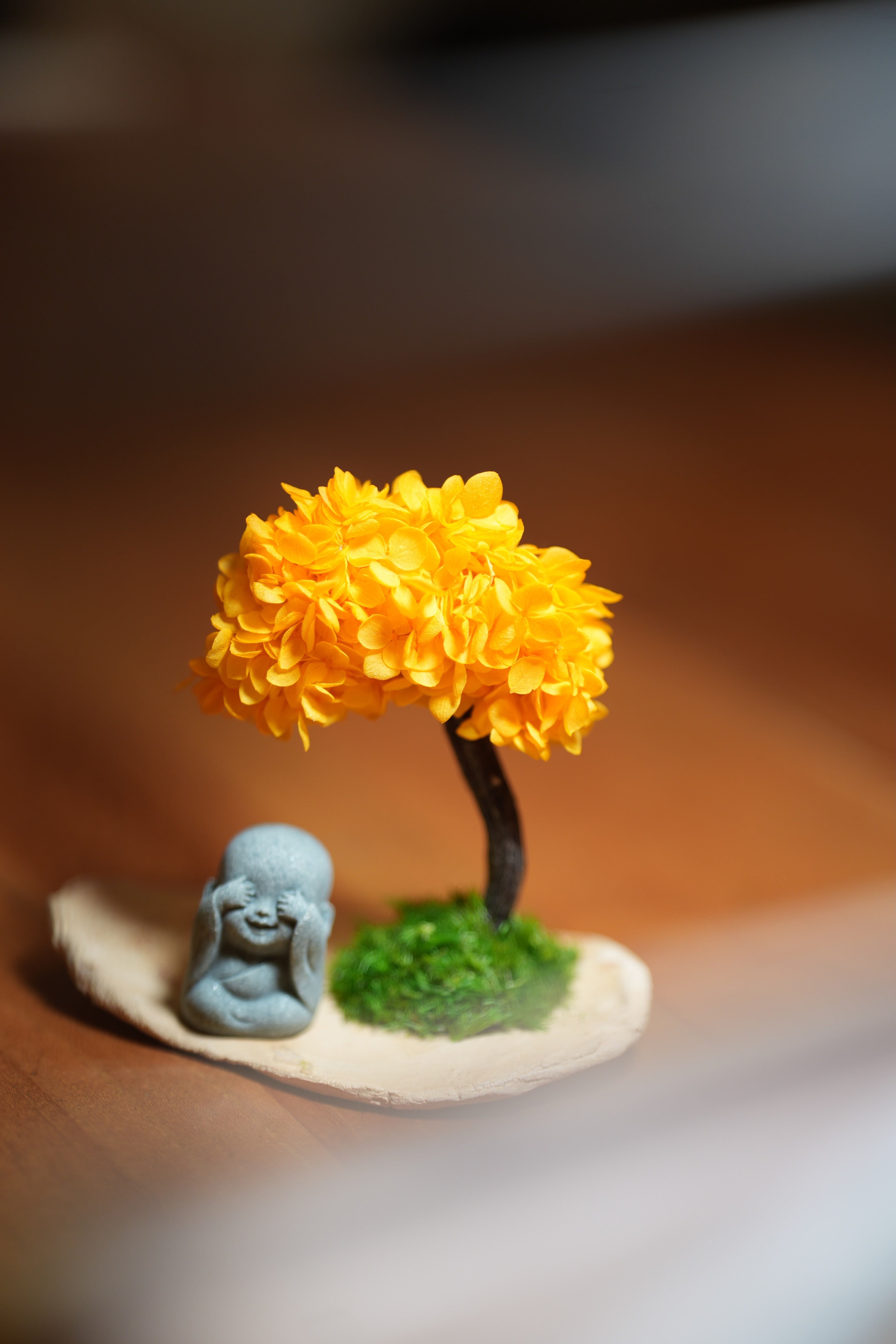 A Small Tree in the East - Orange Grove - Journeyman (Preserved Plants)