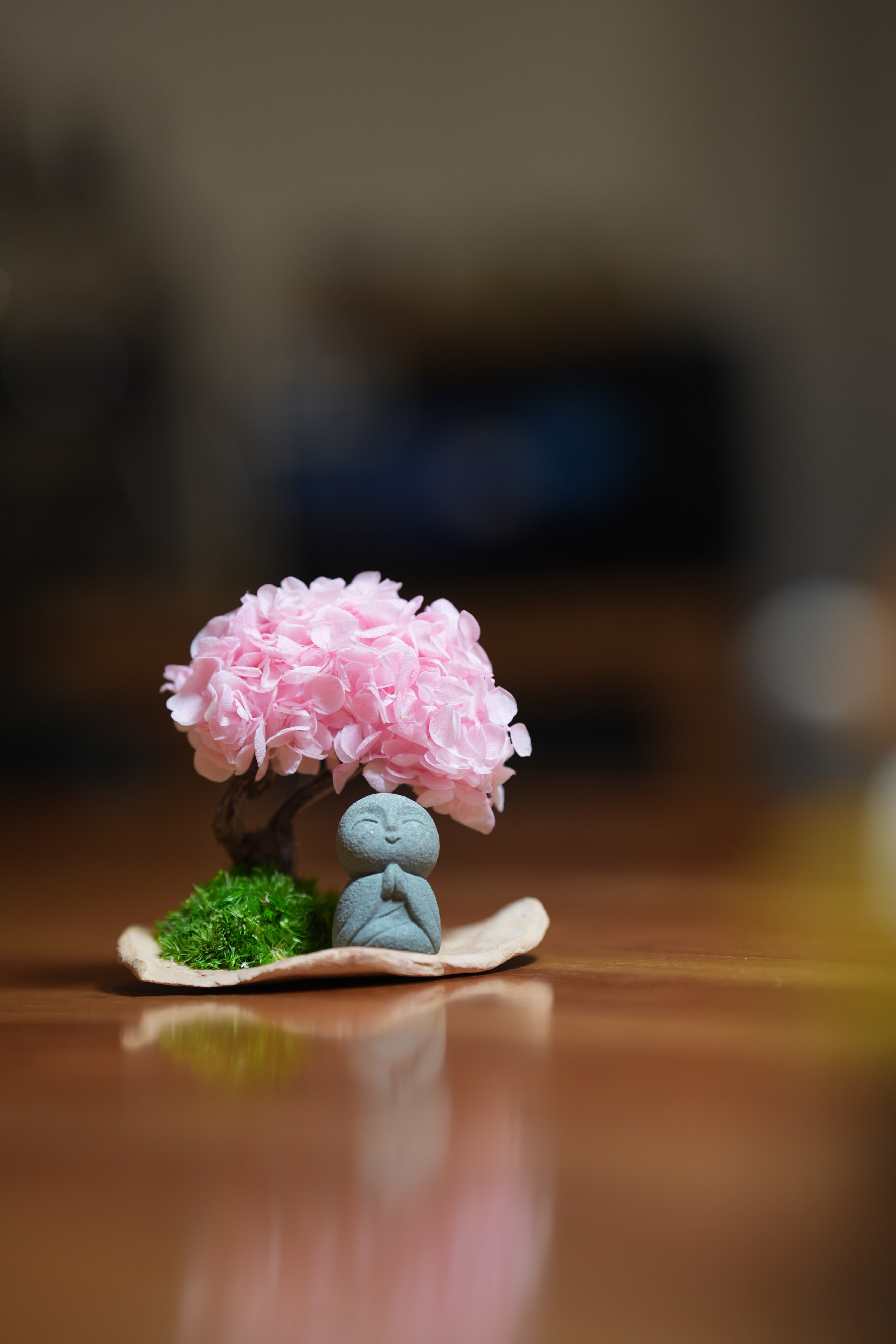 A Small Tree in the East - Sakura - Journeyman (Preserved Plants)