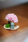 A Small Tree in the East - Sakura - Journeyman (Preserved Plants)