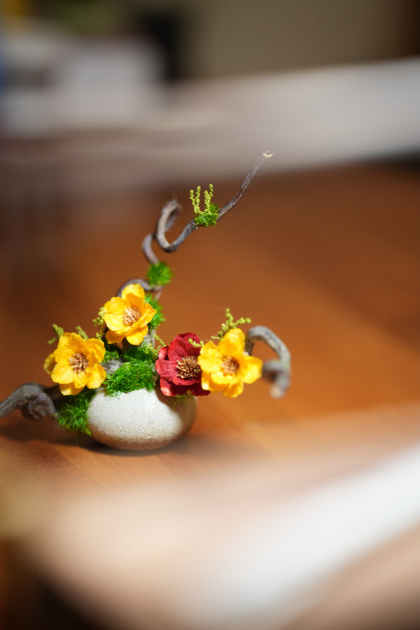 Children of the Forest - Vibrant - Smaller version (Preserved Plants)