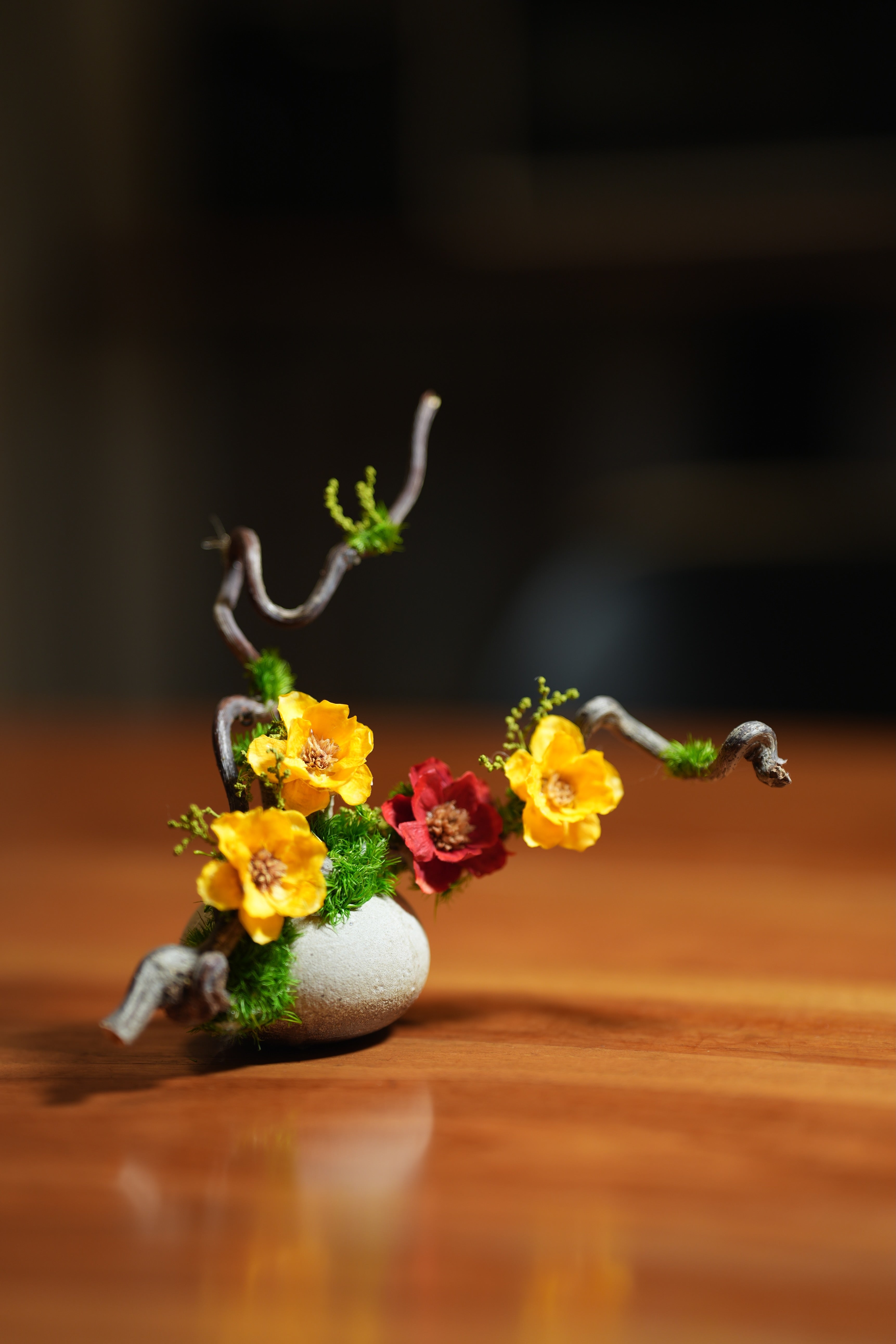 Children of the Forest - Vibrant - Smaller version (Preserved Plants)