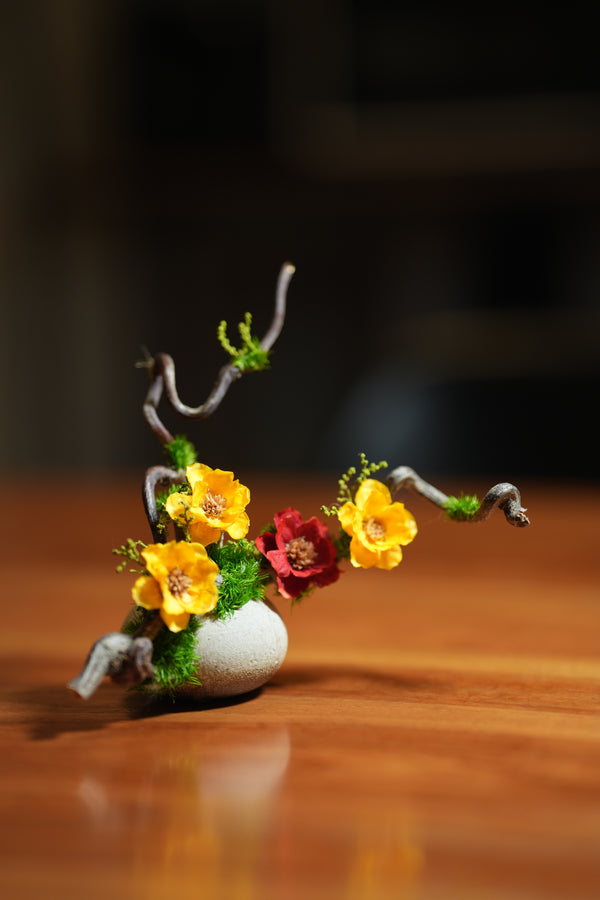 Children of the Forest - Vibrant - Smaller version (Preserved Plants)