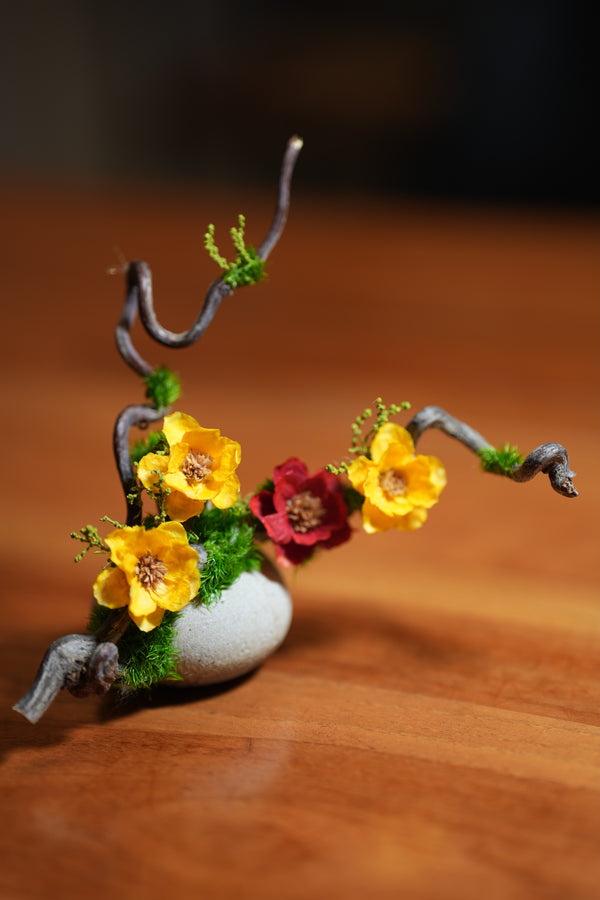 Children of the Forest - Vibrant - Smaller version (Preserved Plants)