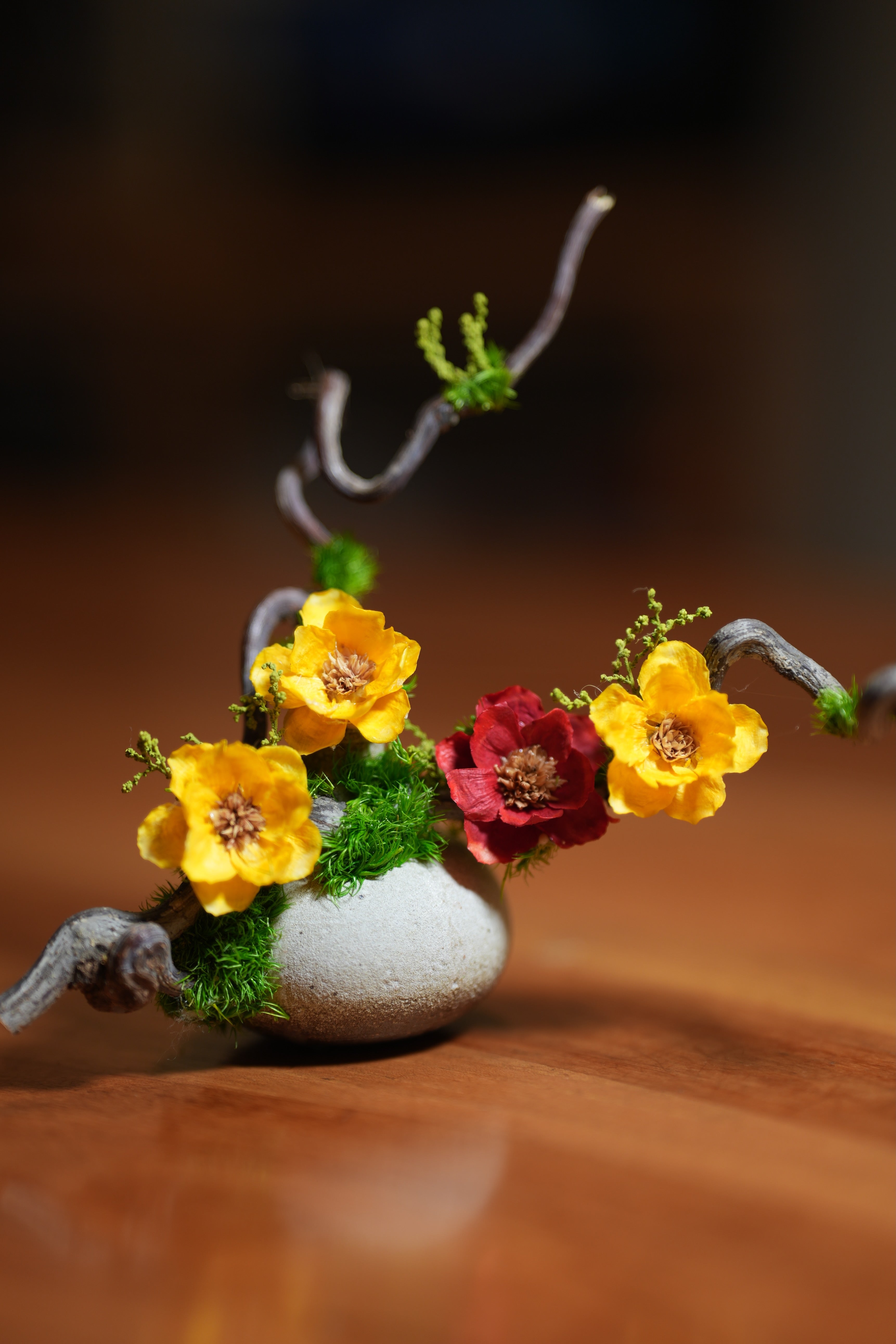 Children of the Forest - Vibrant - Smaller version (Preserved Plants)