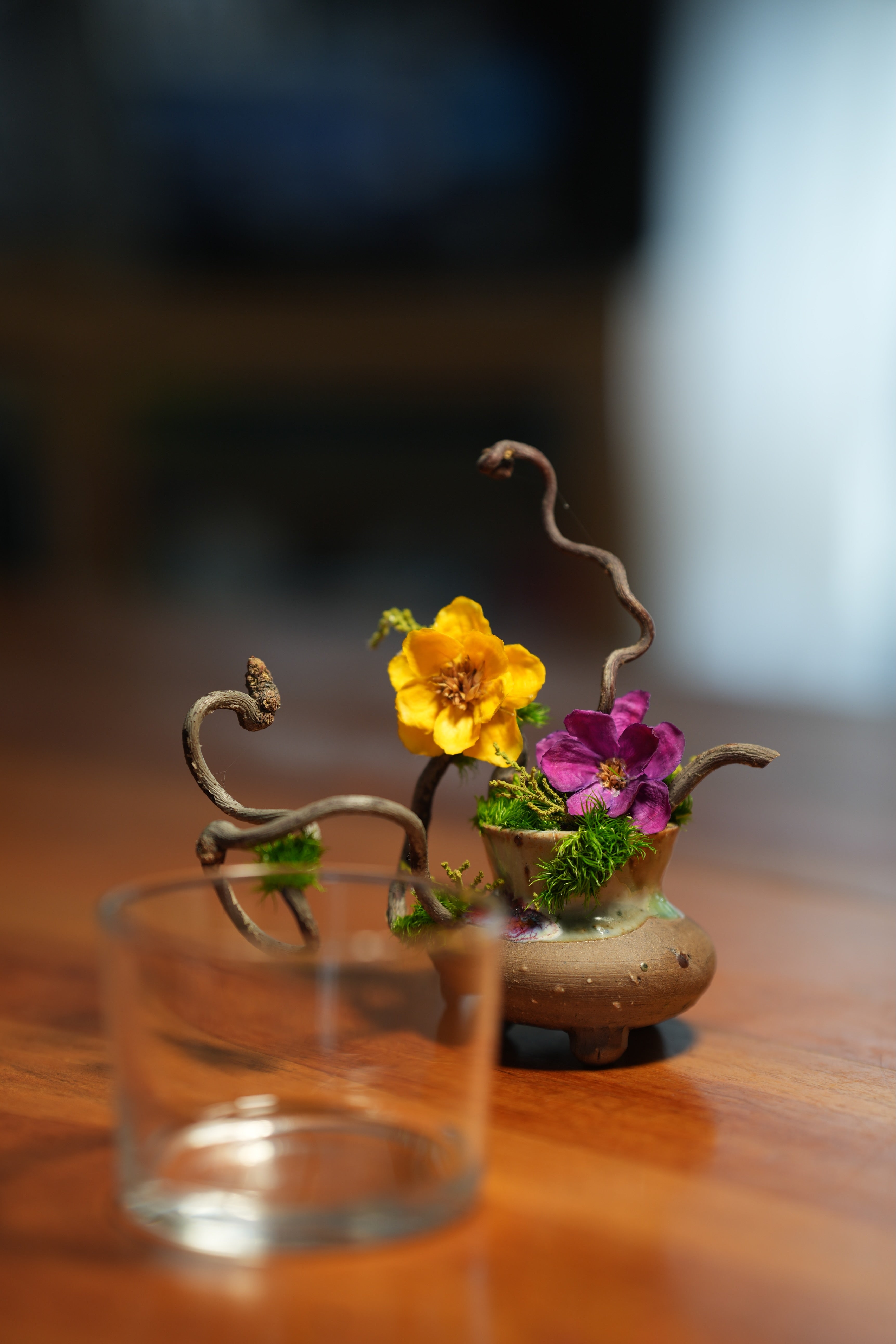 Children of the Forest - Vibrant - Smaller version (Preserved Plants)