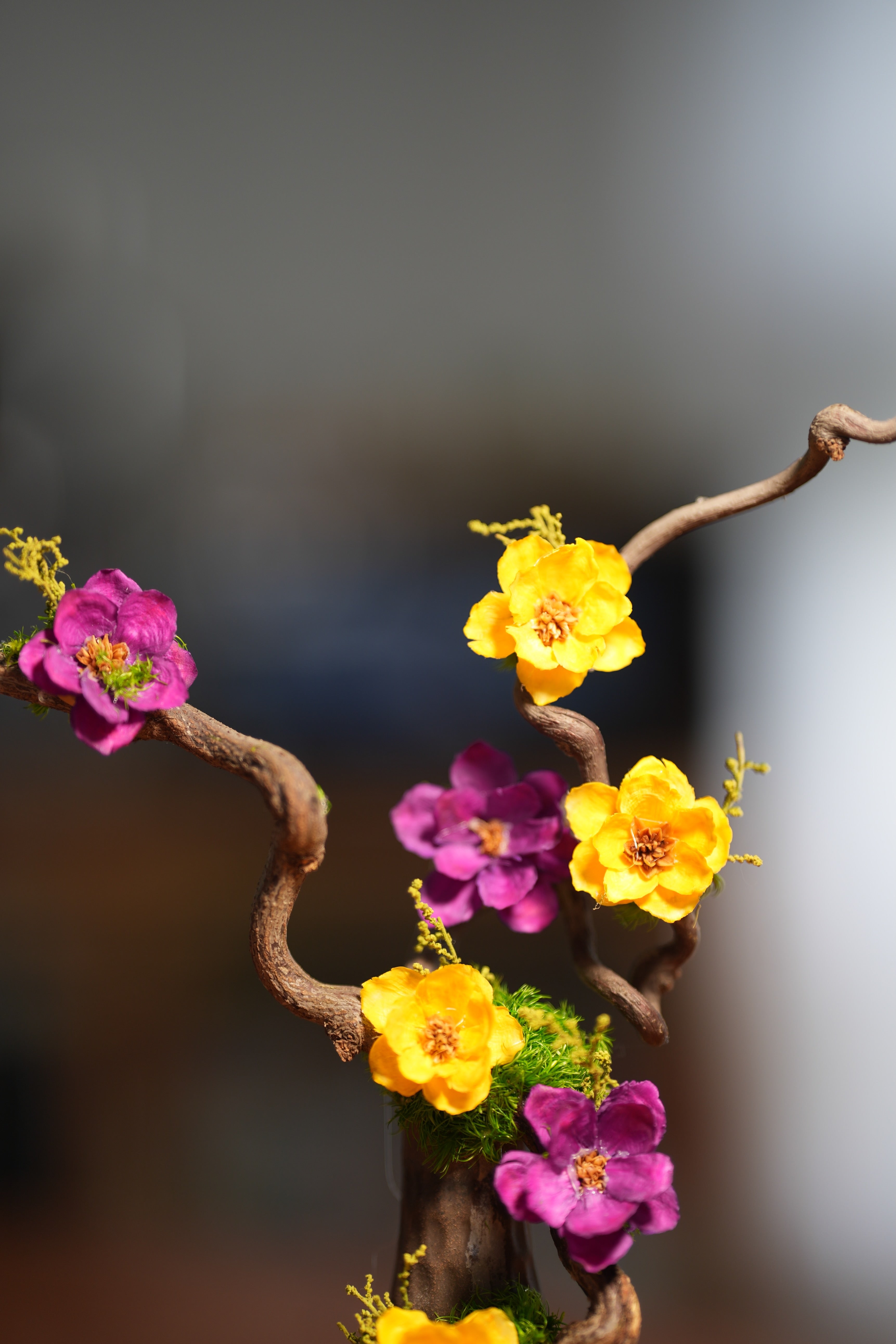 Children of the Forest - Vibrant