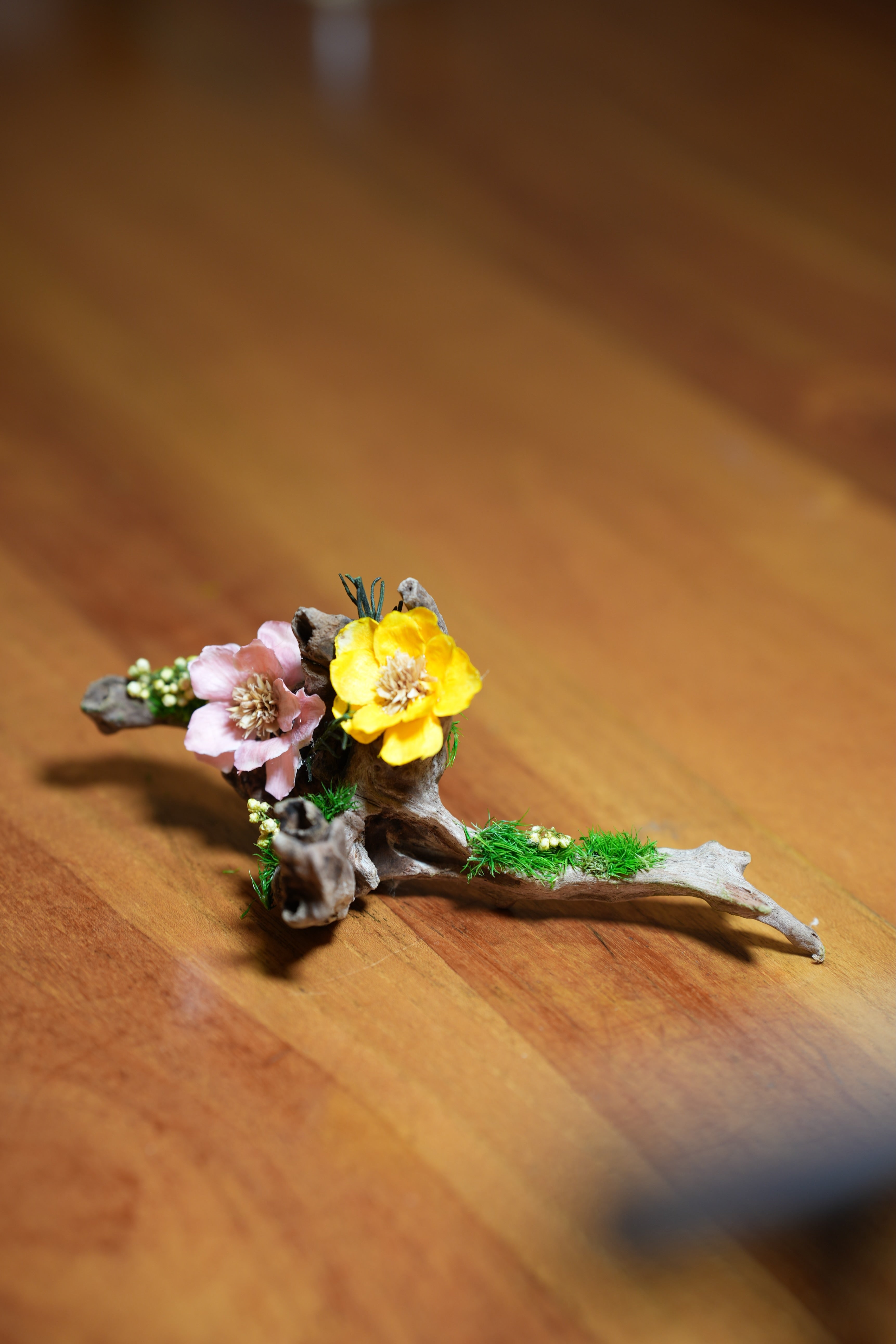 Children of the Forest - Driftwood