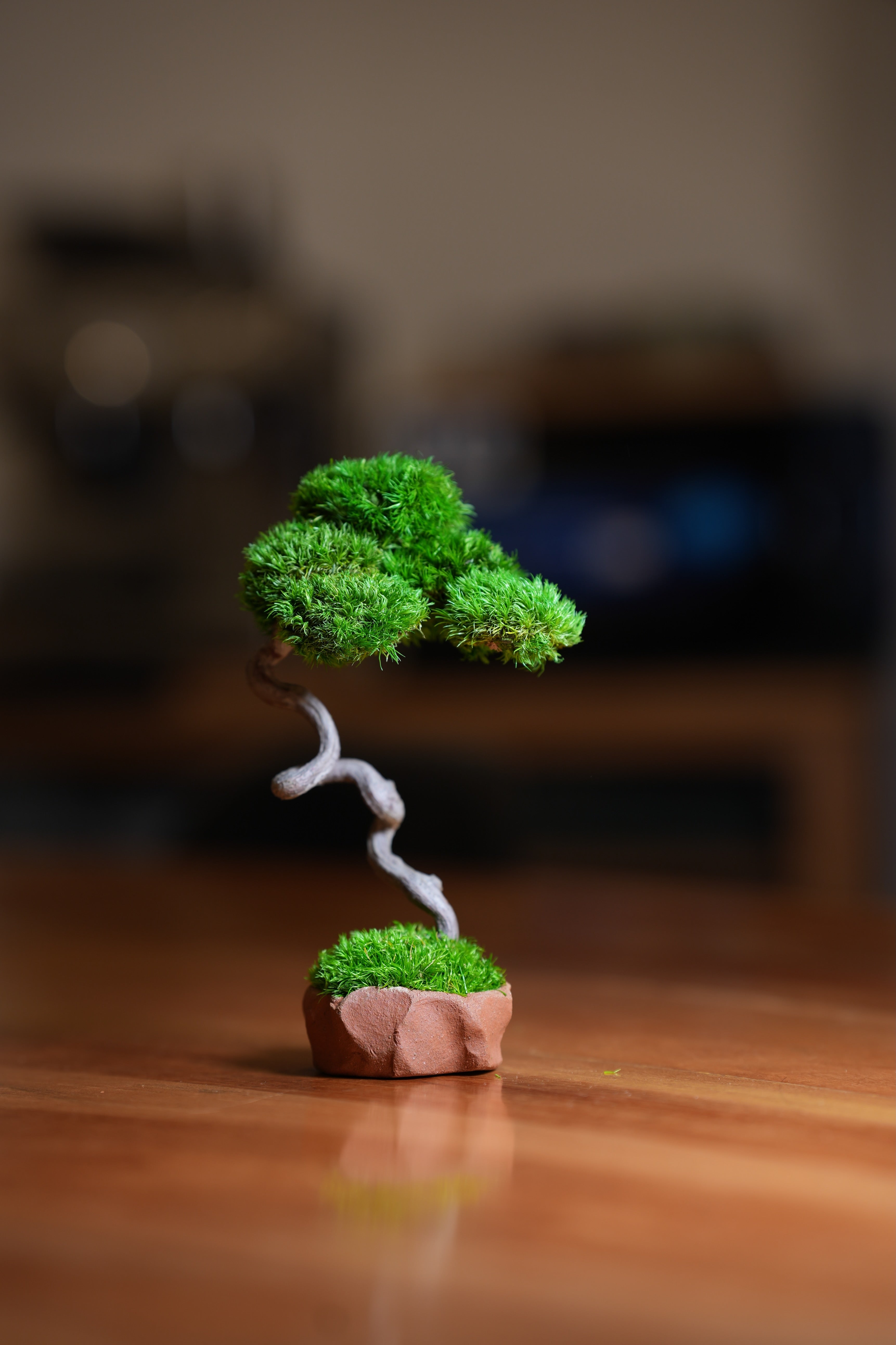 A Small Tree in the East - Classics