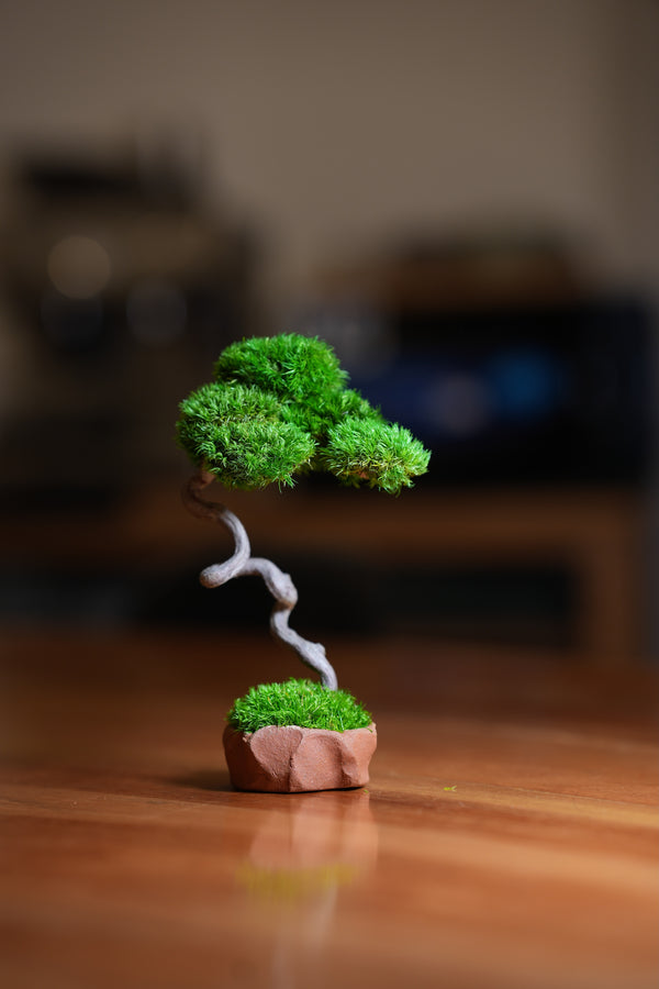 A Small Tree in the East - Classics