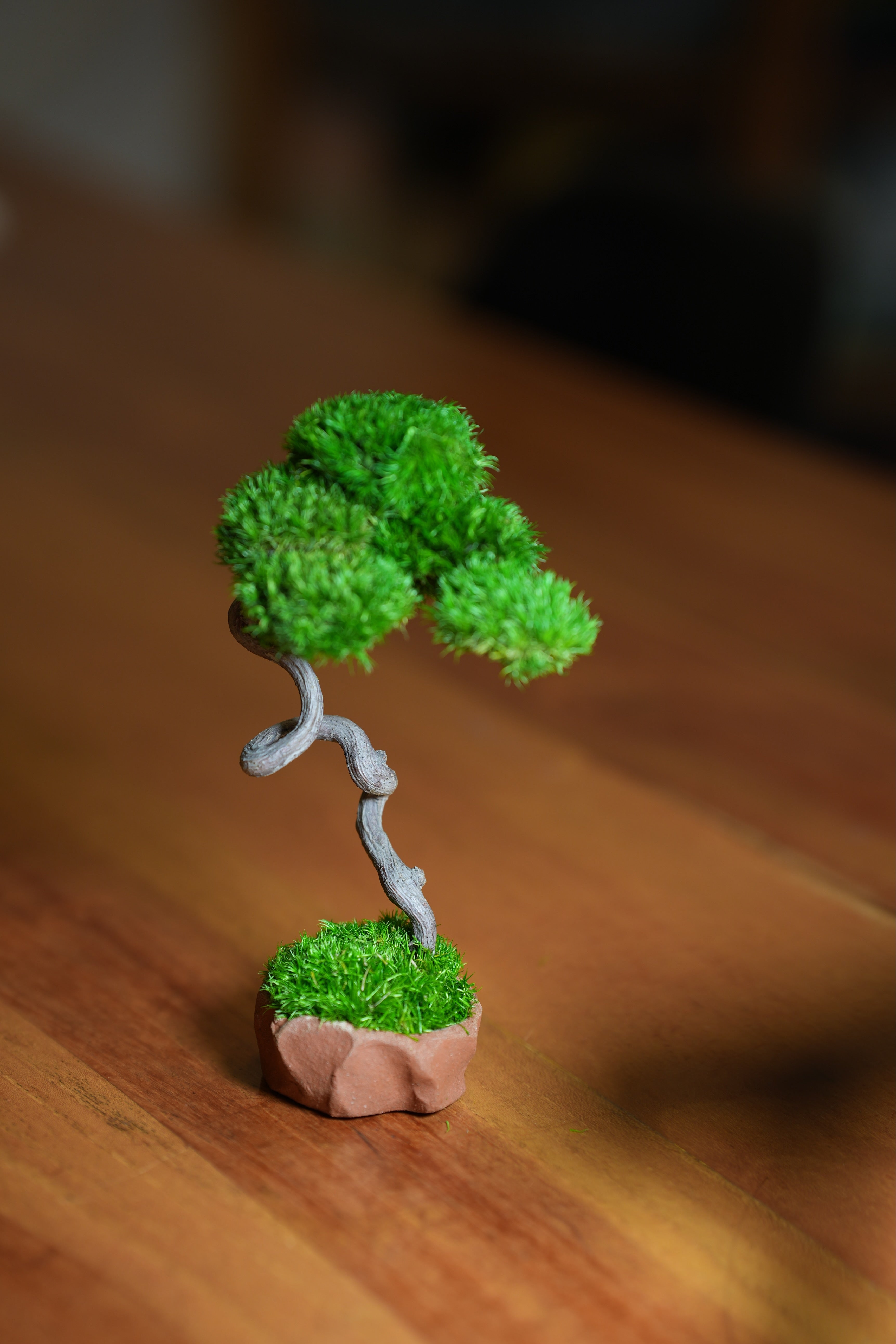 A Small Tree in the East - Classics