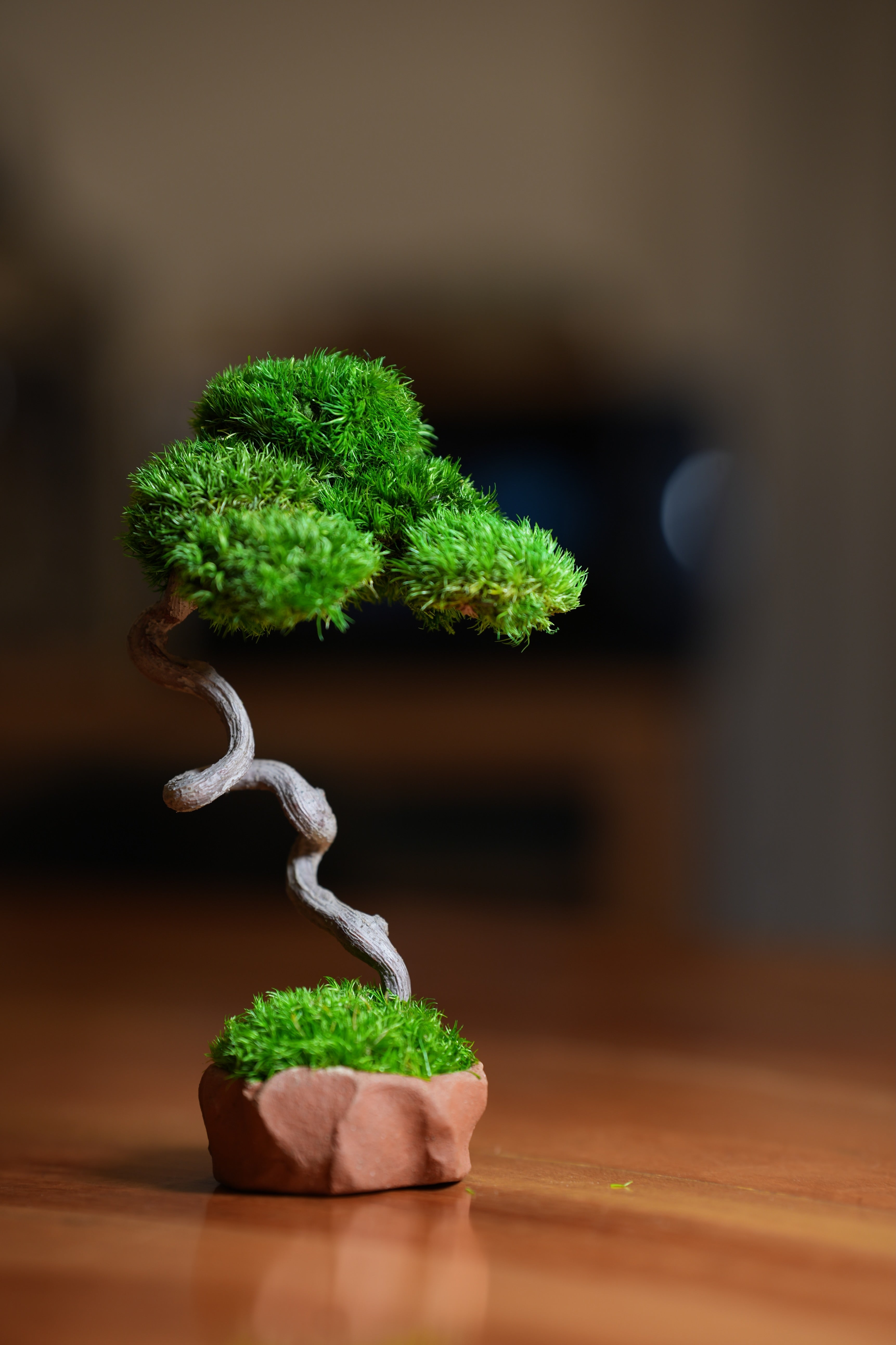 A Small Tree in the East - Classics