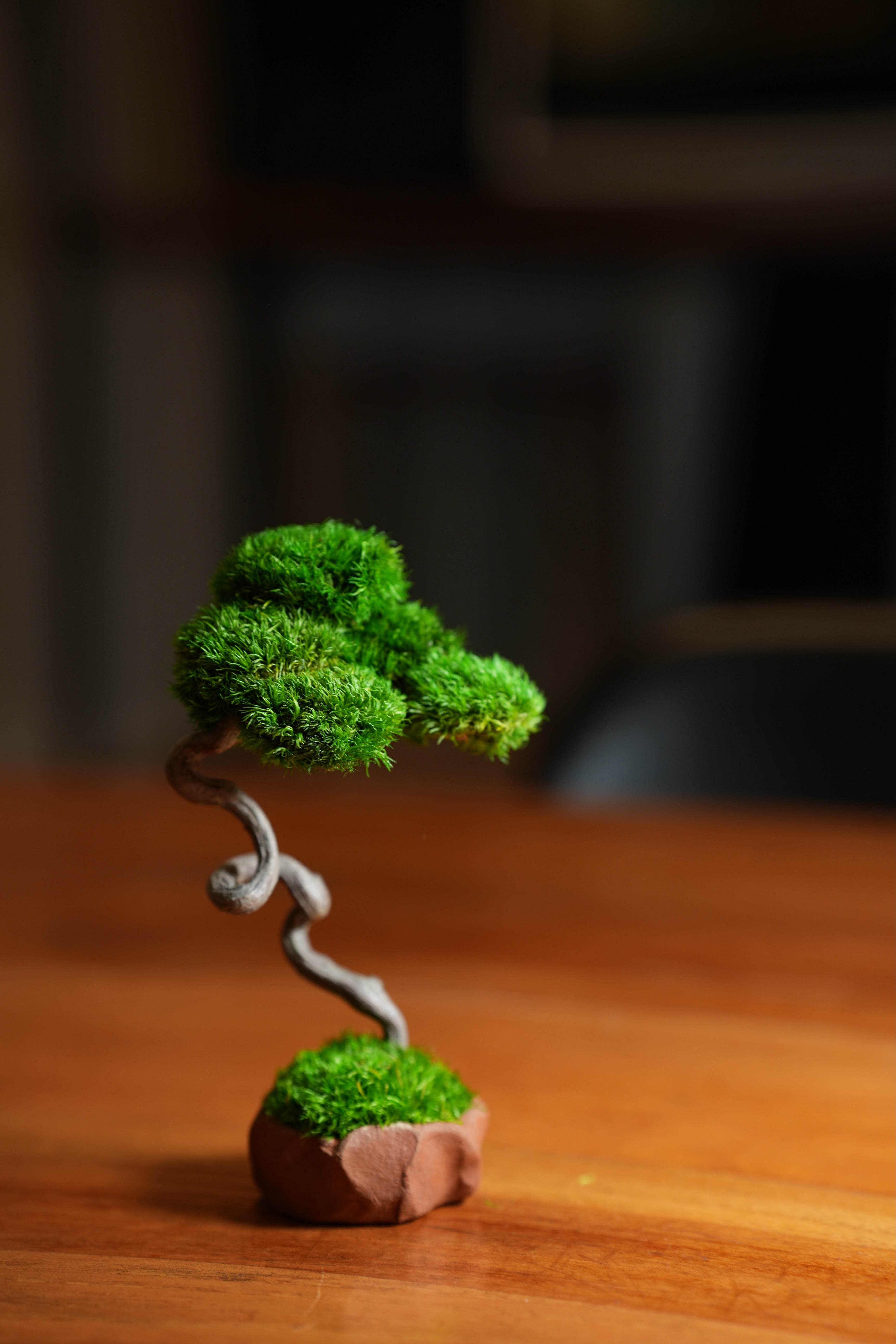 A Small Tree in the East - Classics