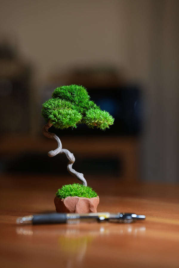 A Small Tree in the East - Classics