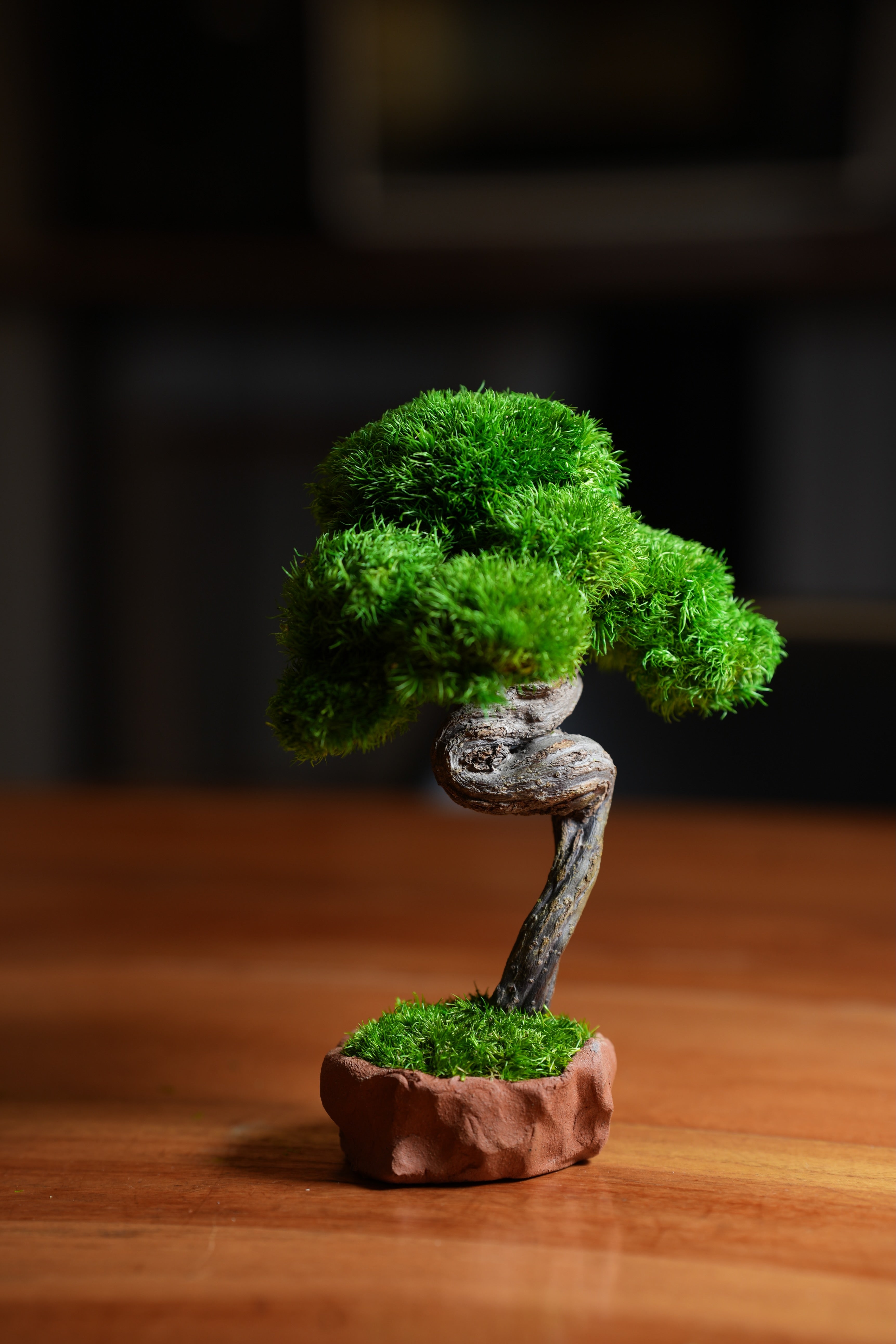 A Small Tree in the East - Classics - a bit Larger