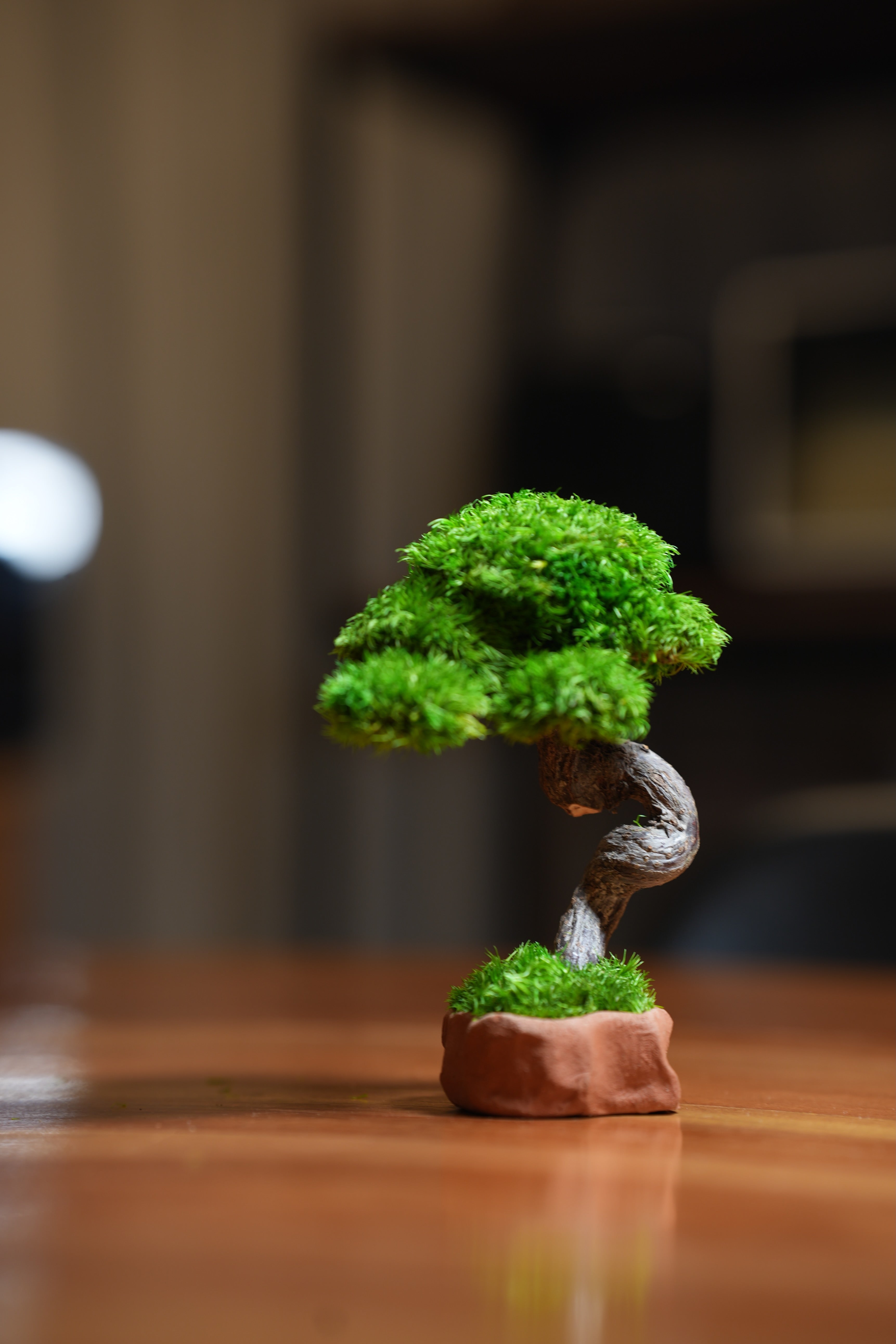 A Small Tree in the East - Classics