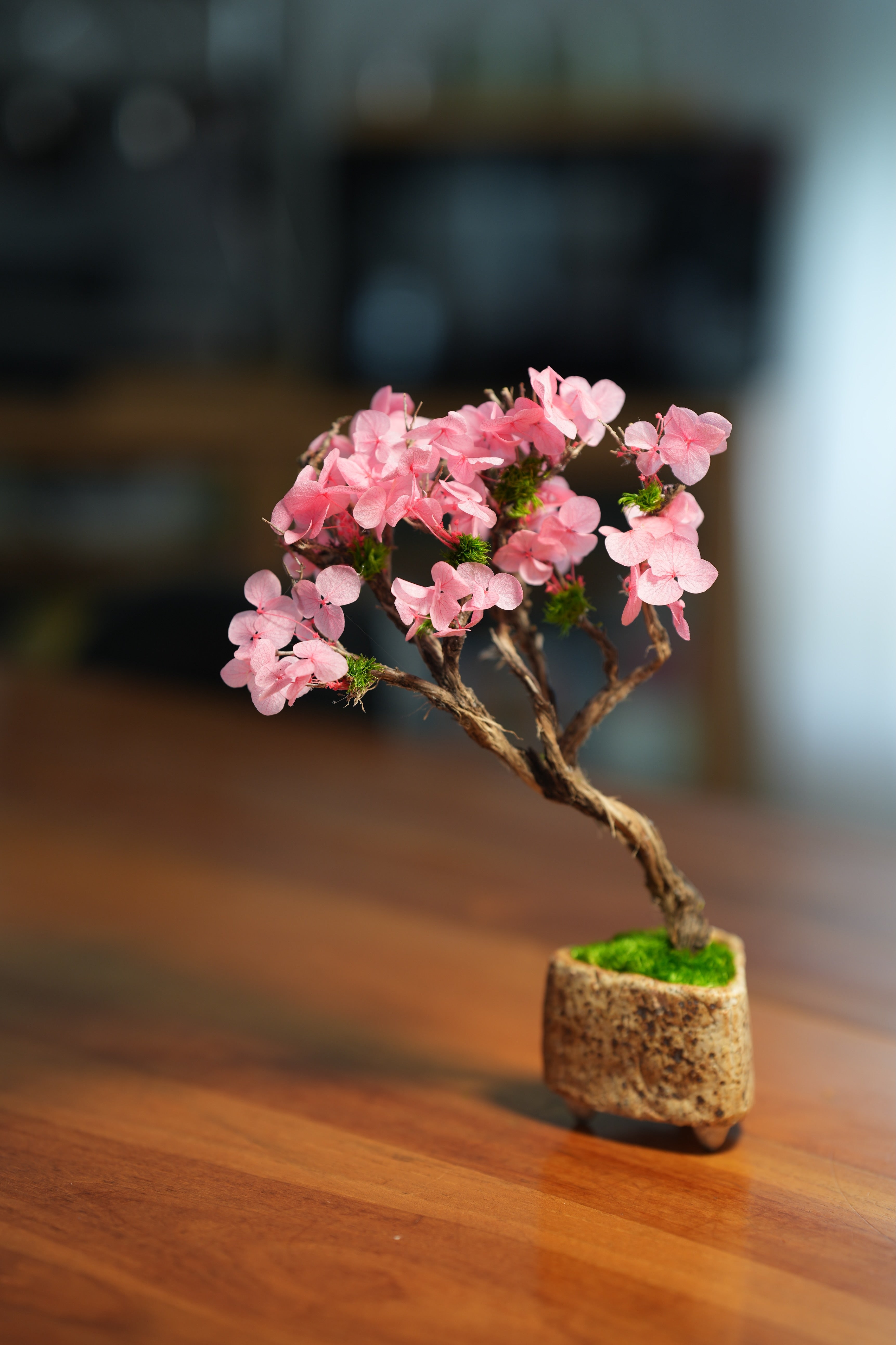 Slow Wood - The Journey - Cherry Blossom