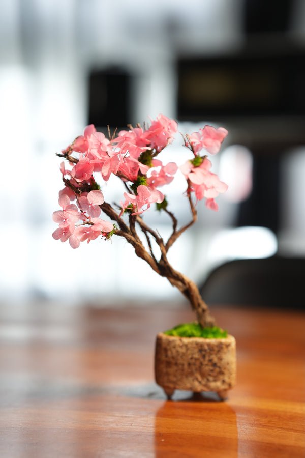 Slow Wood - The Journey - Cherry Blossom