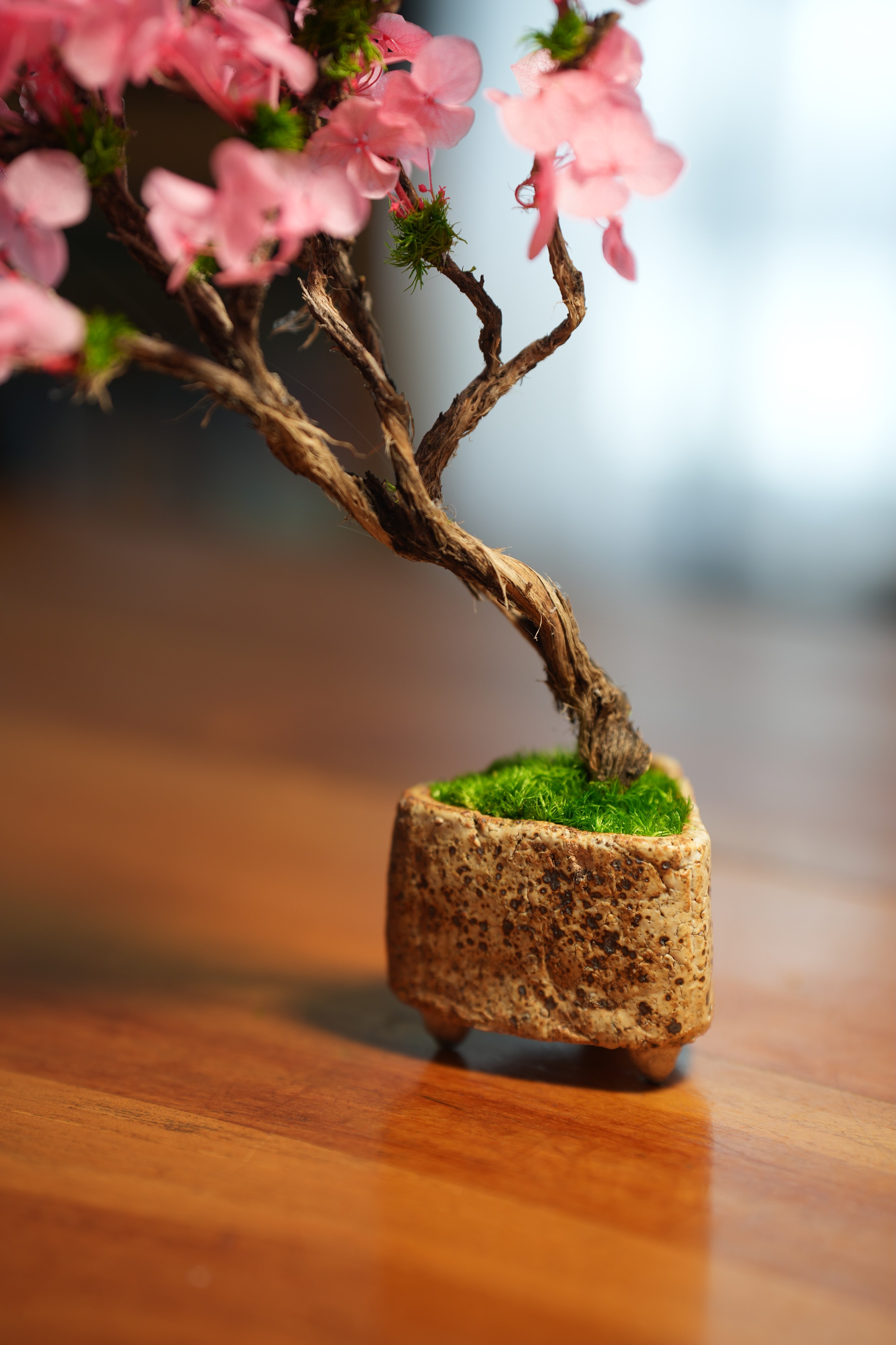 Slow Wood - The Journey - Cherry Blossom