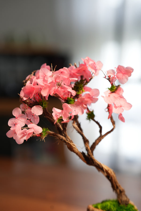 Slow Wood - The Journey - Cherry Blossom