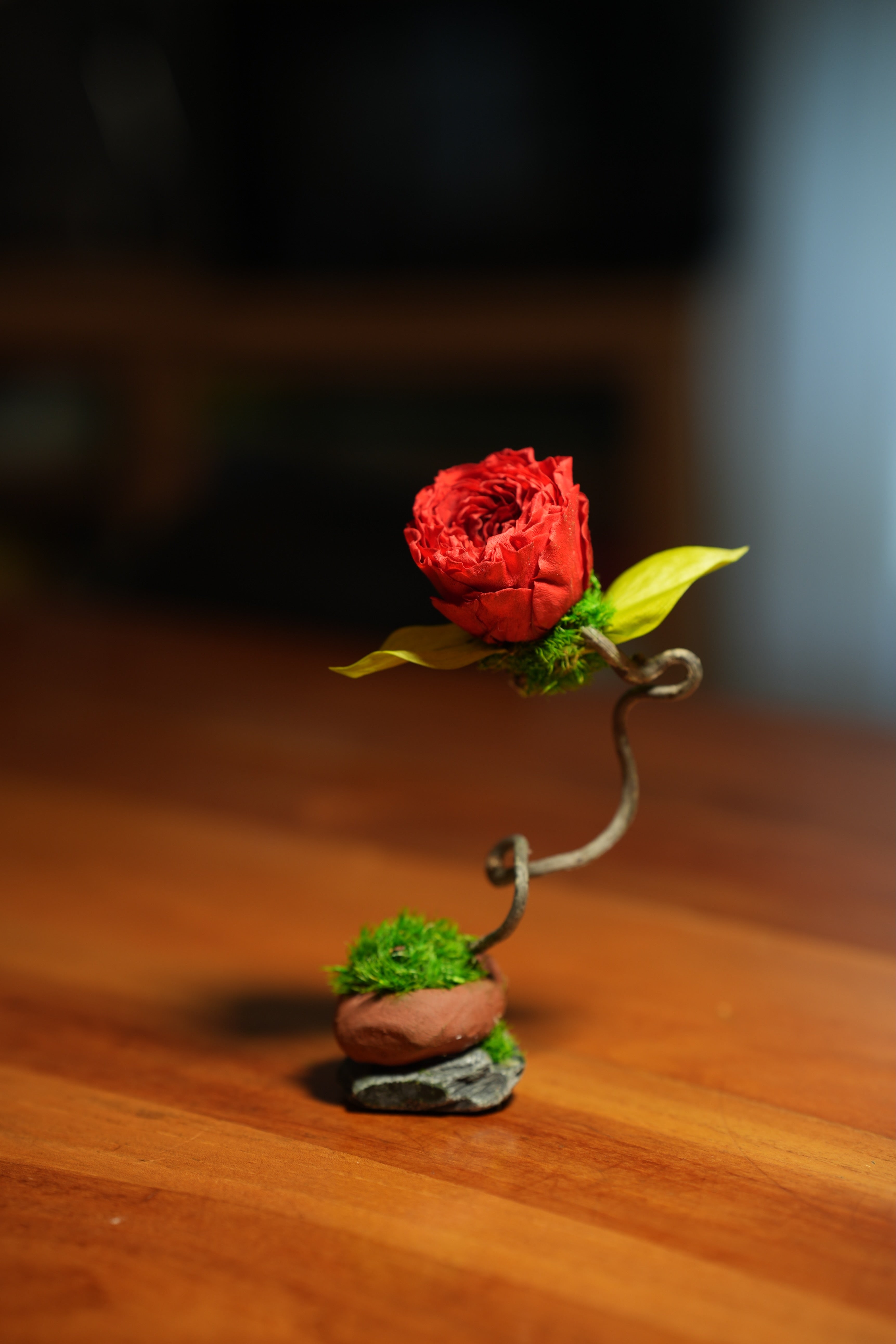 Children of the Forest - Jupiter