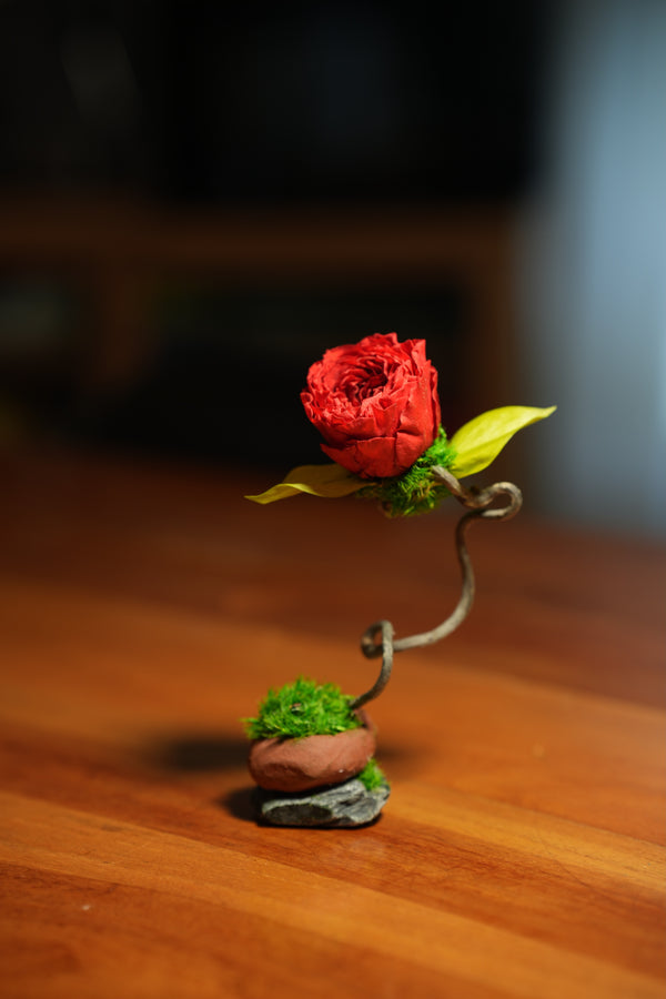 Children of the Forest - Jupiter