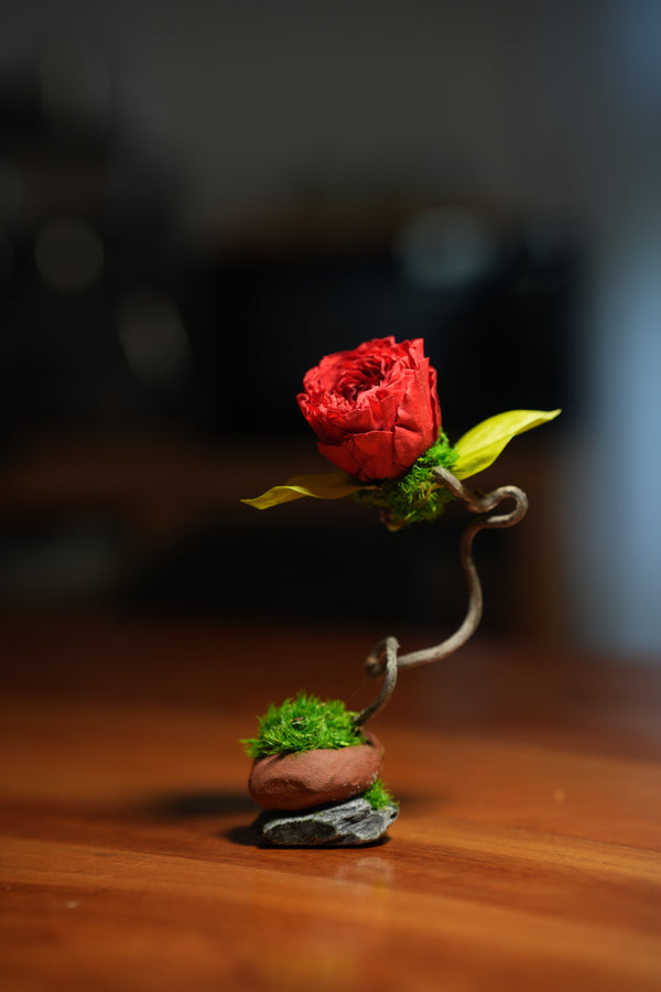 Children of the Forest - Jupiter