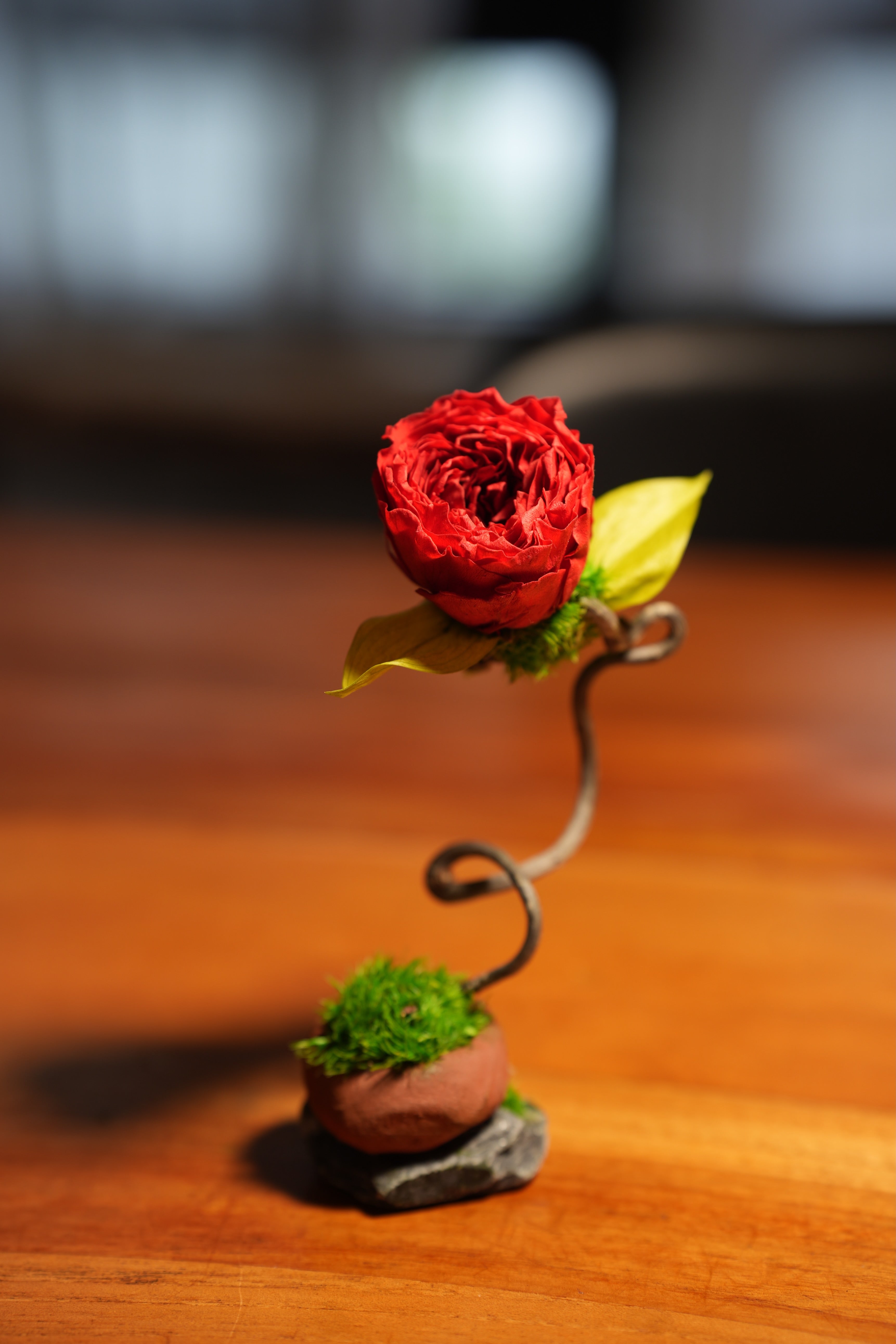 Children of the Forest - Jupiter