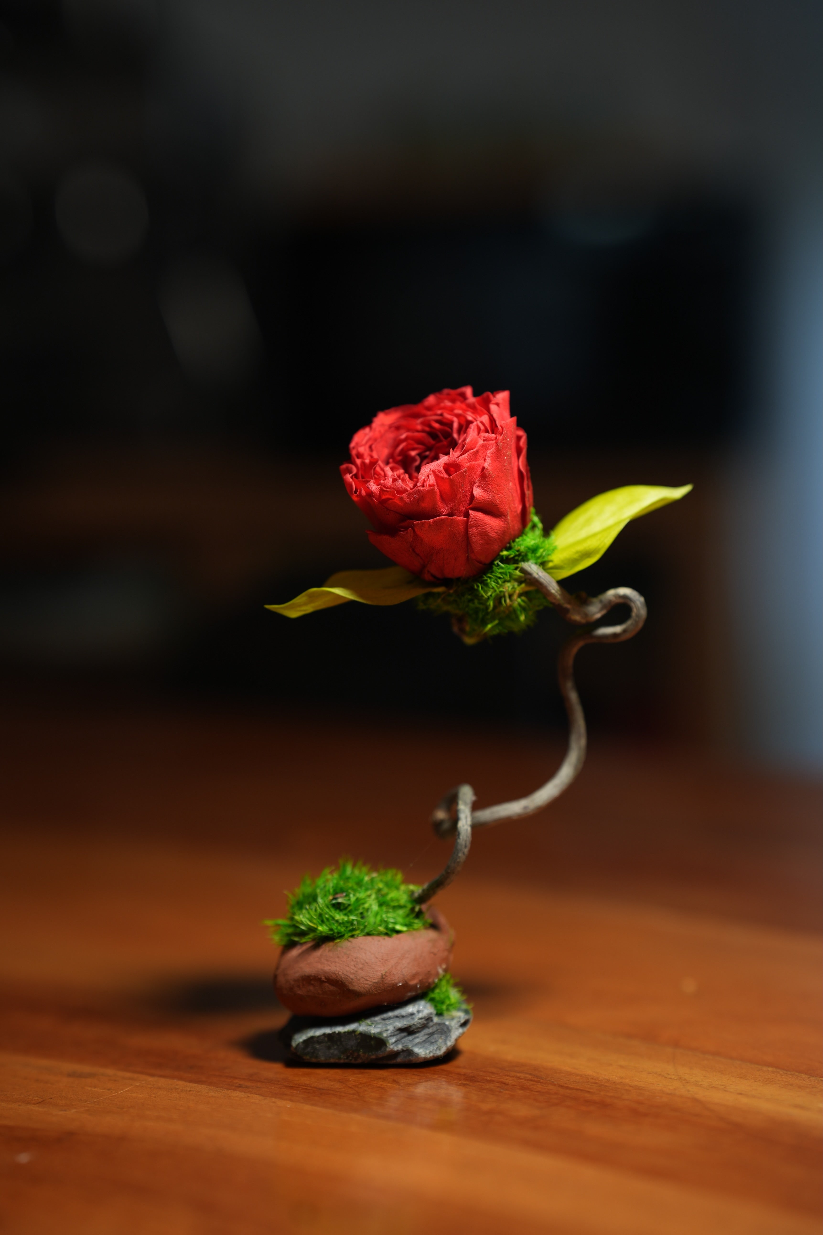 Children of the Forest - Jupiter