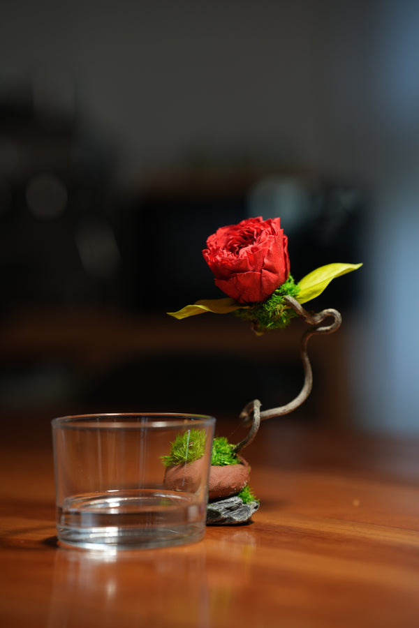 Children of the Forest - Jupiter