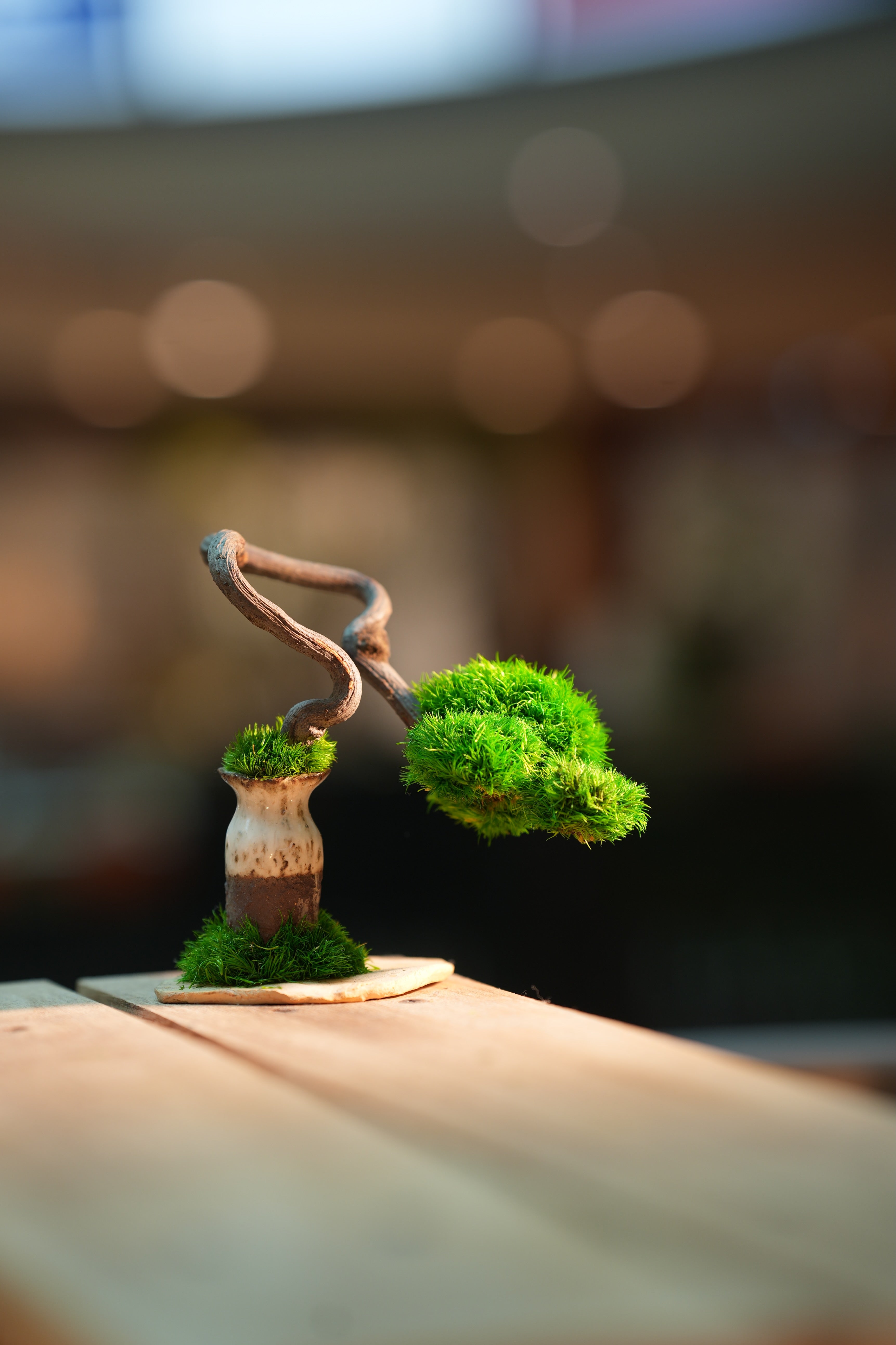 A Small Tree in the East - Classics