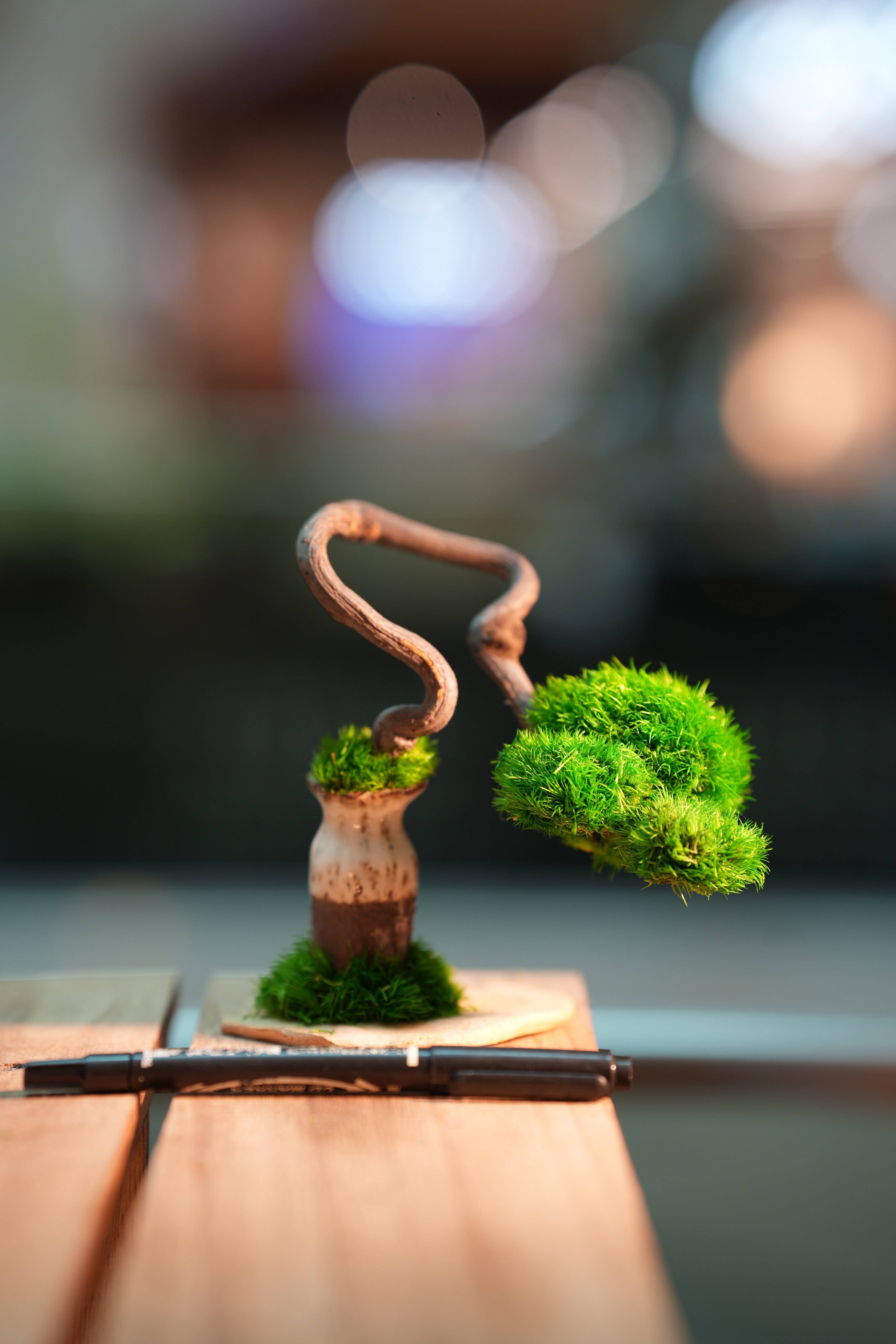 A Small Tree in the East - Classics