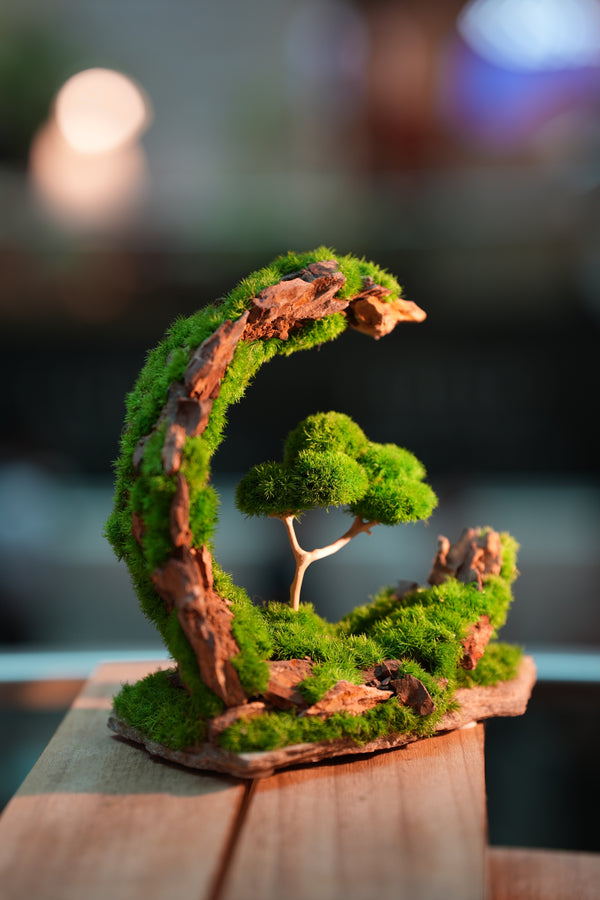 Half-Moon Bay - Crescent