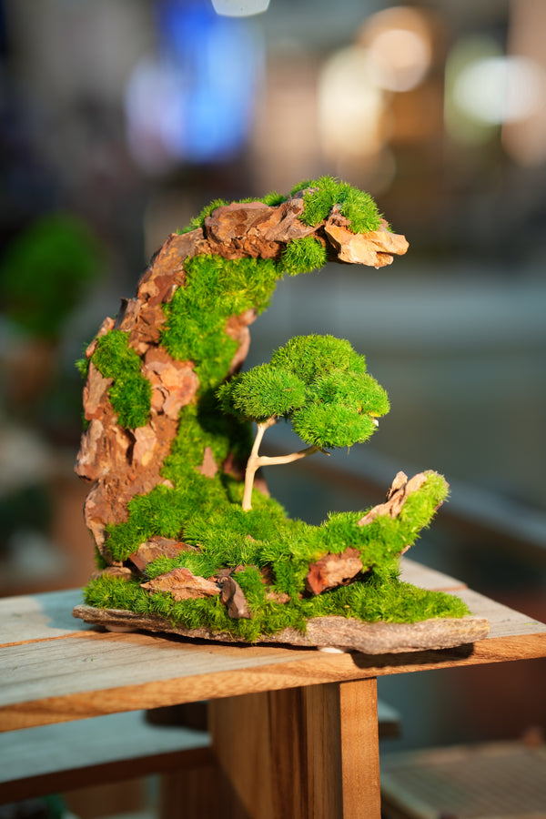 Half-Moon Bay - Crescent