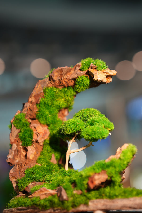 Half-Moon Bay - Crescent