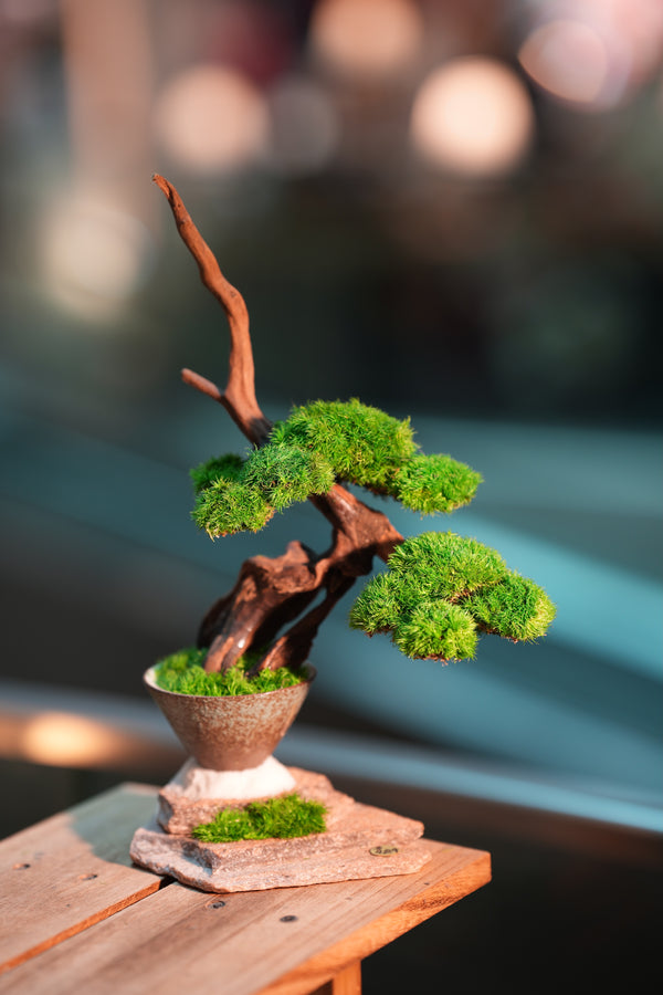 Greenwood - Flight of Time