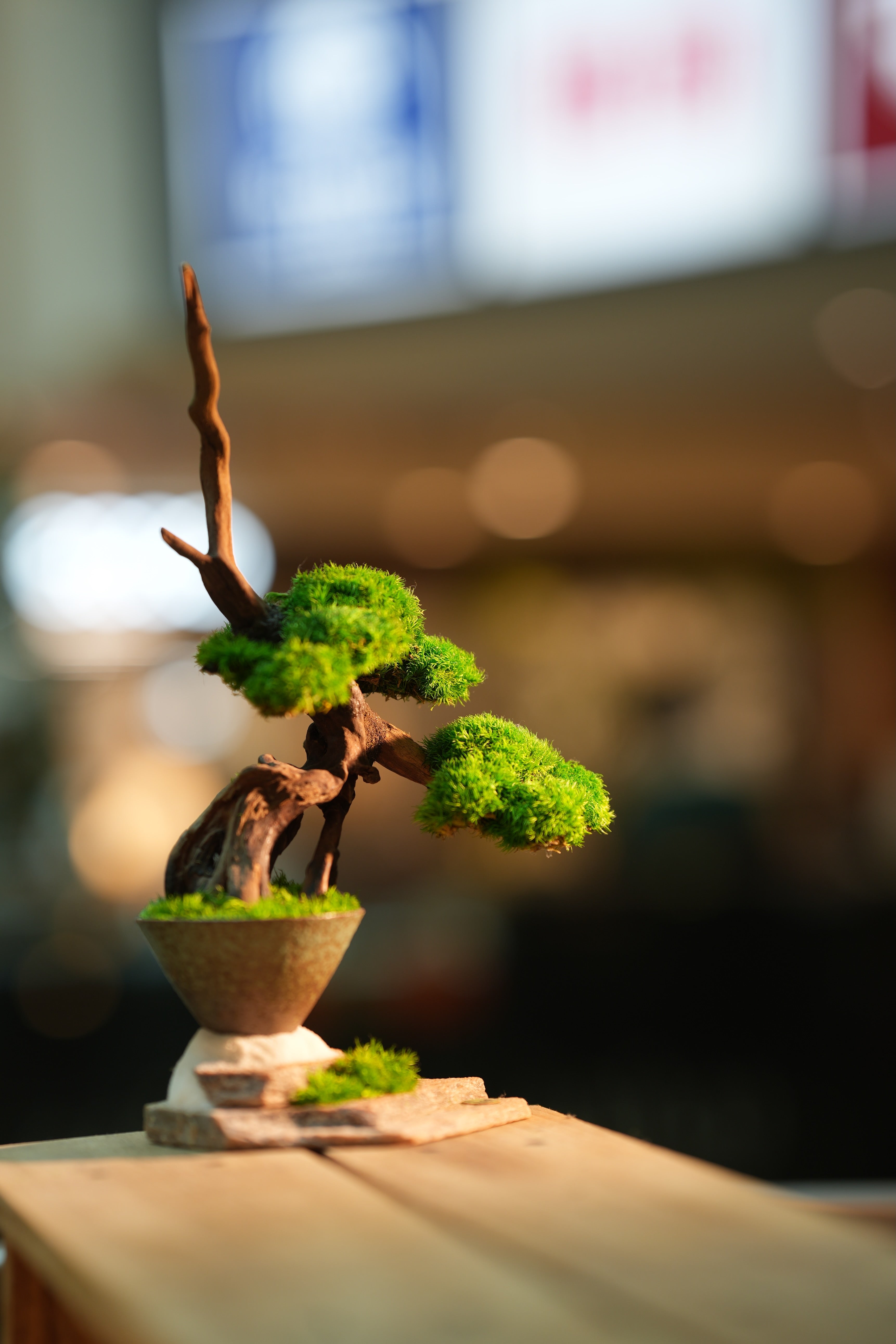 Greenwood - Flight of Time