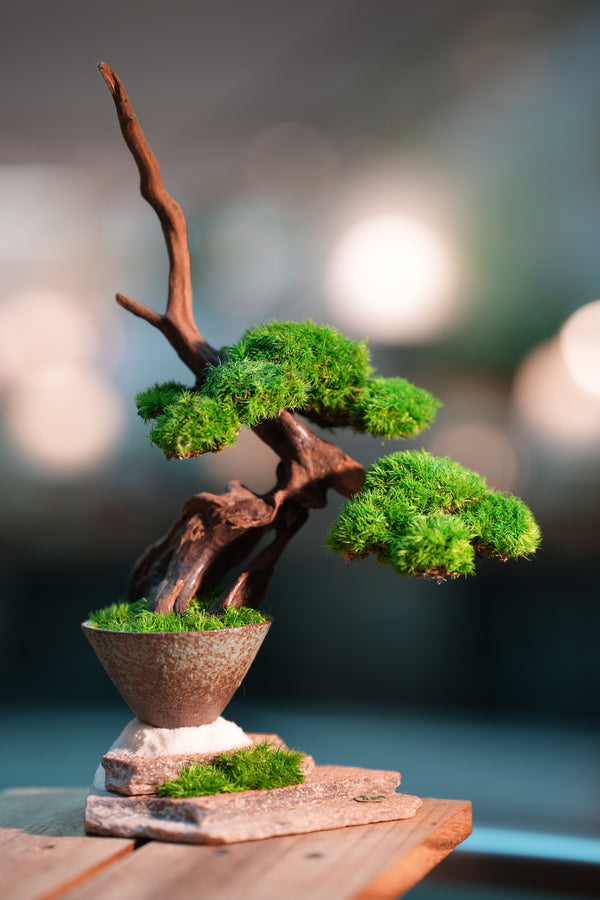 Greenwood - Flight of Time