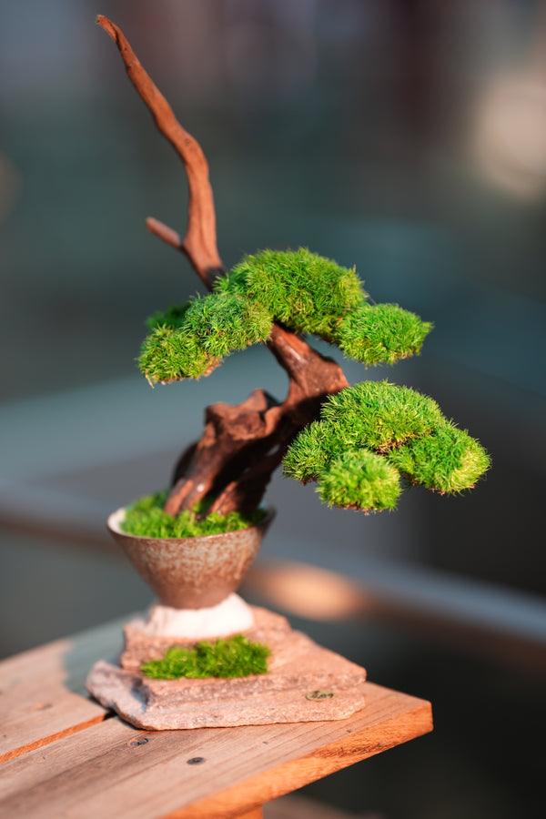 Greenwood - Flight of Time